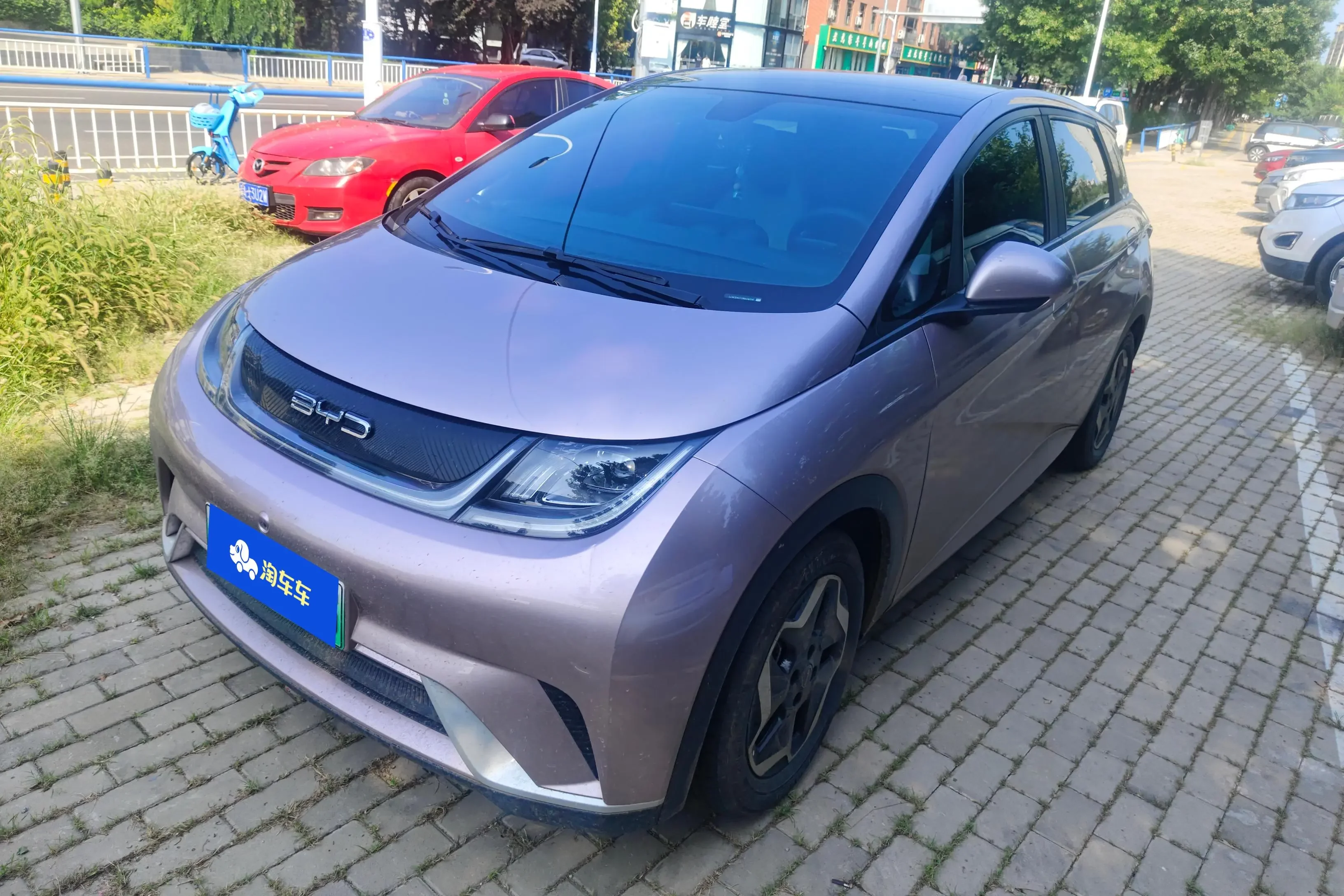 BYD dolphin