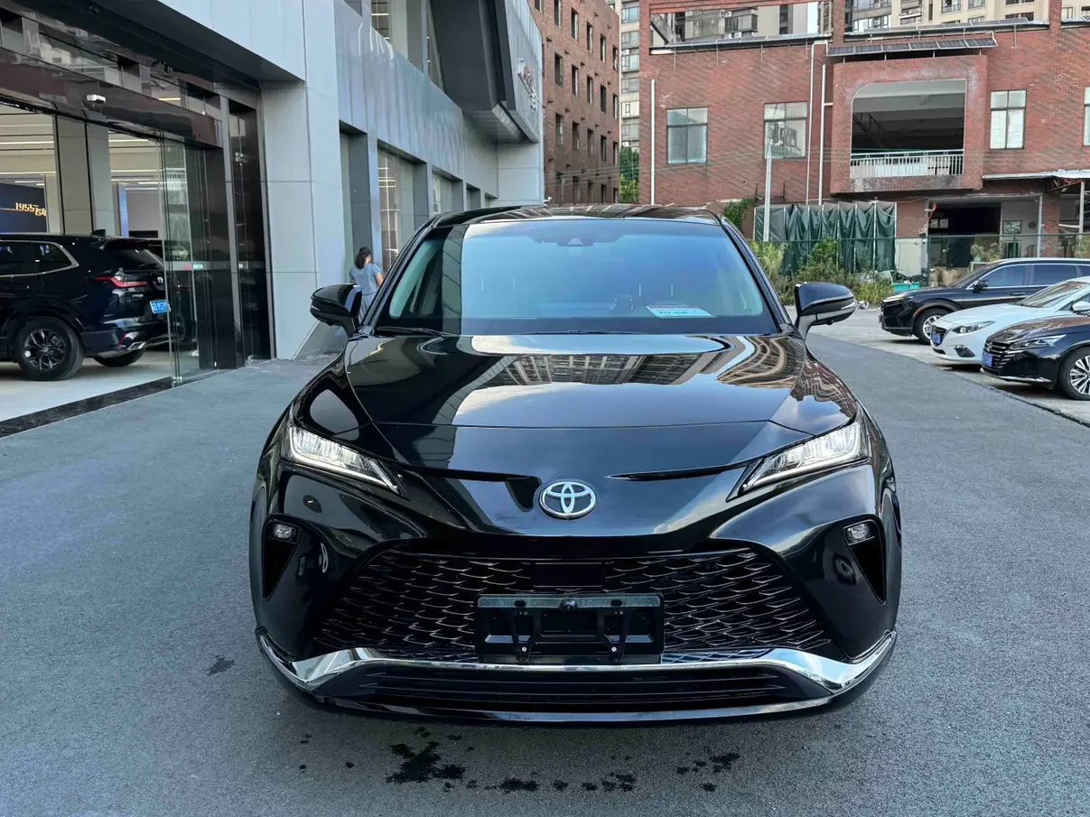 Toyota Venza (Wei Sa)