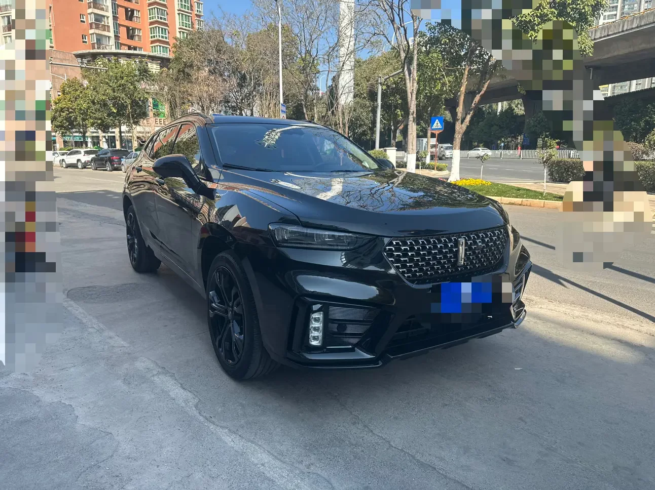 Wey Wei brand VV7