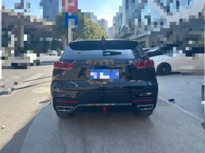 Wey Wei brand VV7
