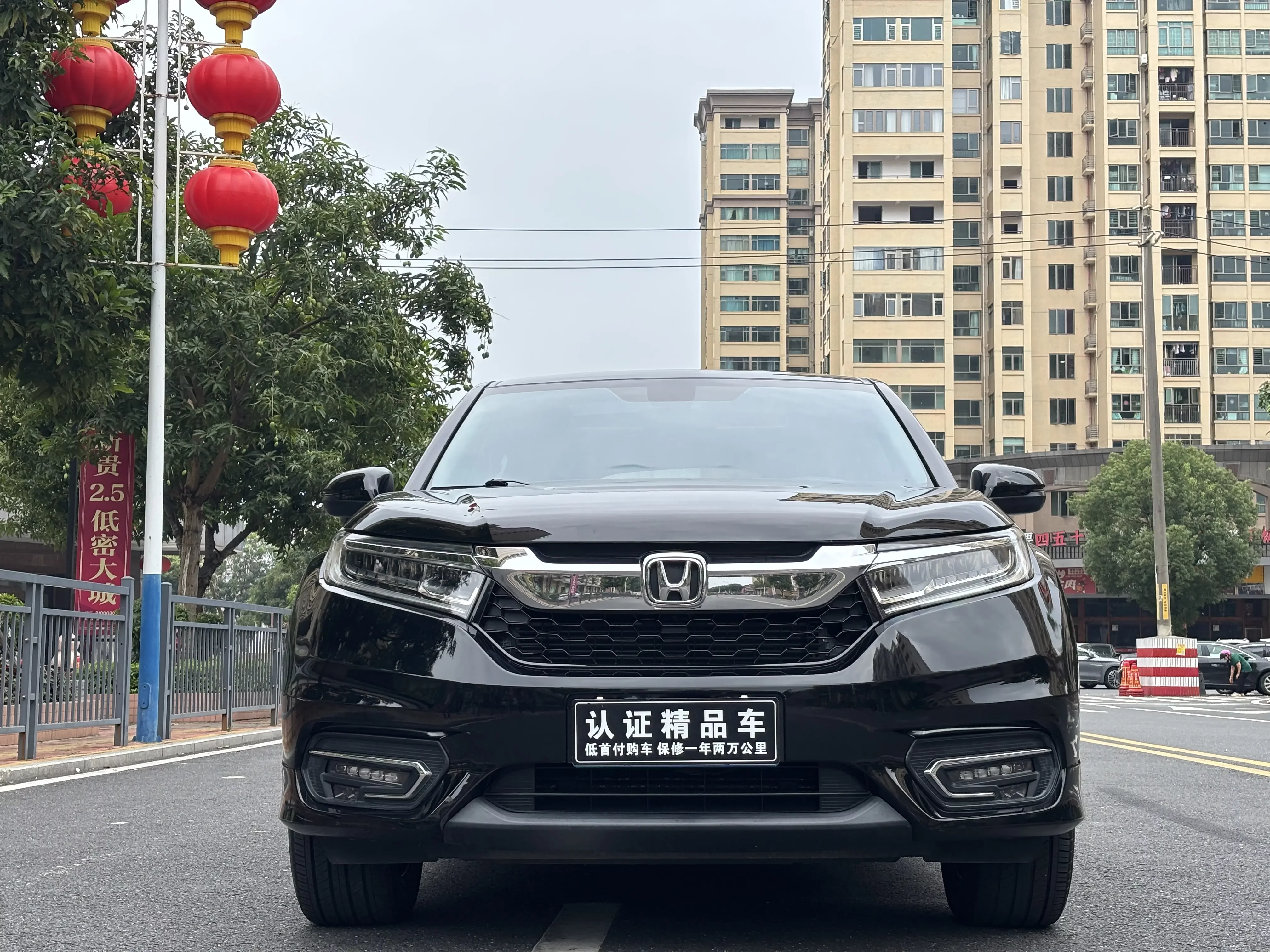Honda Avancier (Crown Road)