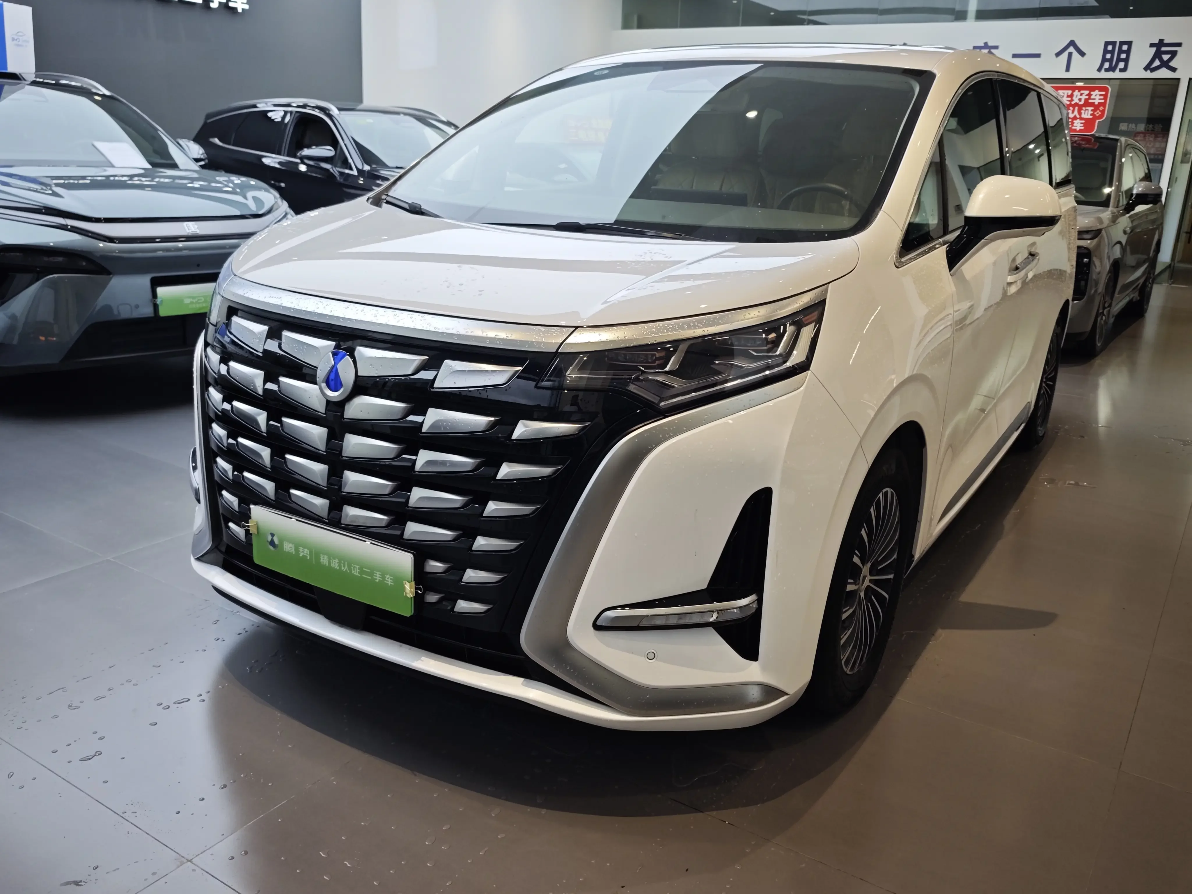 Denza D9 DM