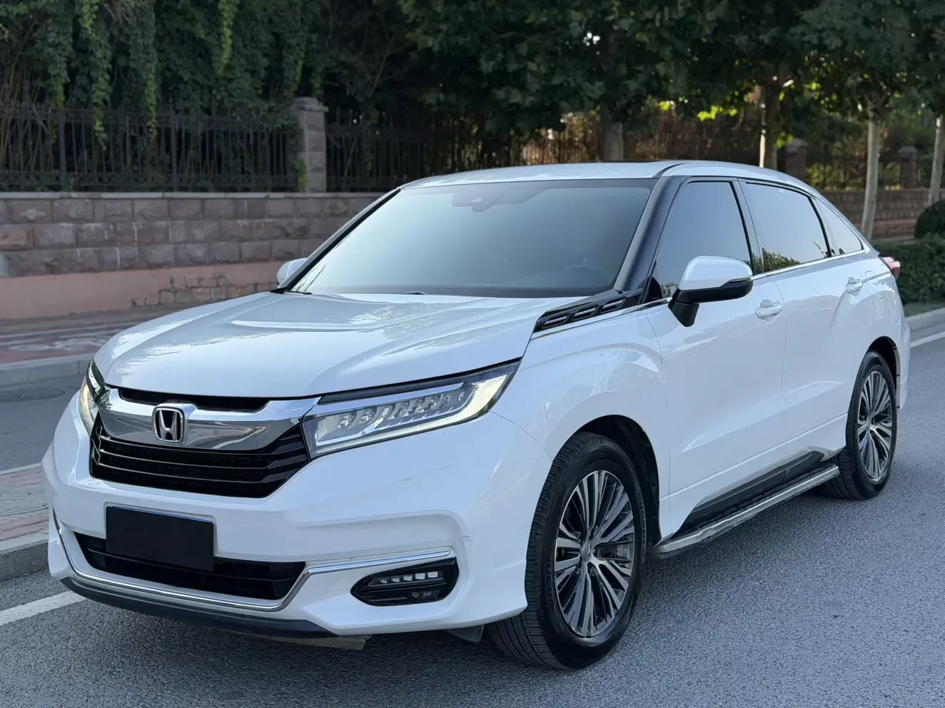 Honda Avancier (Crown Road)
