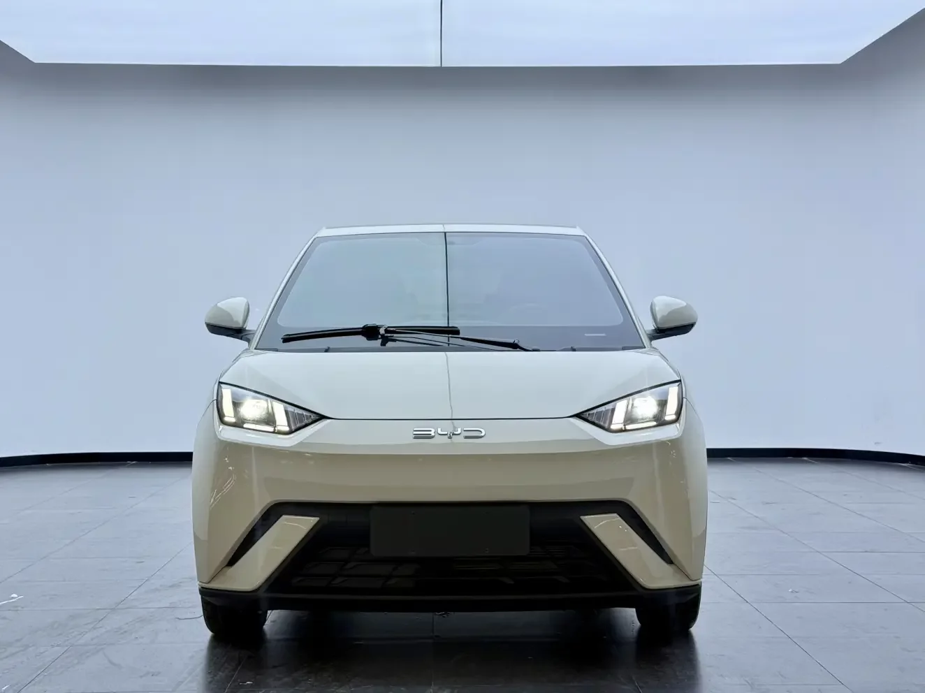BYD seagull