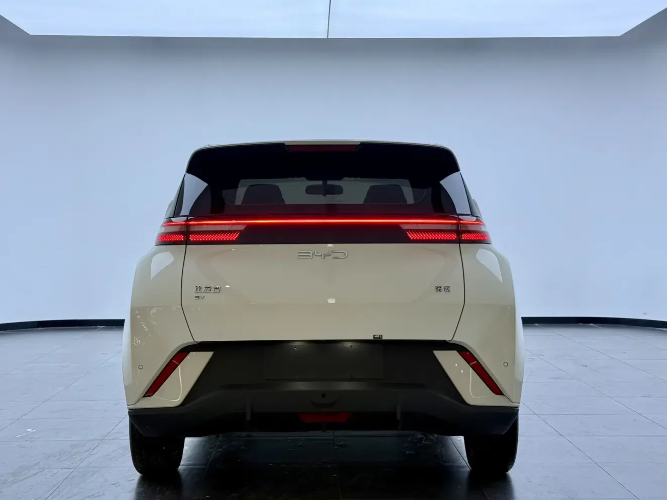 BYD seagull