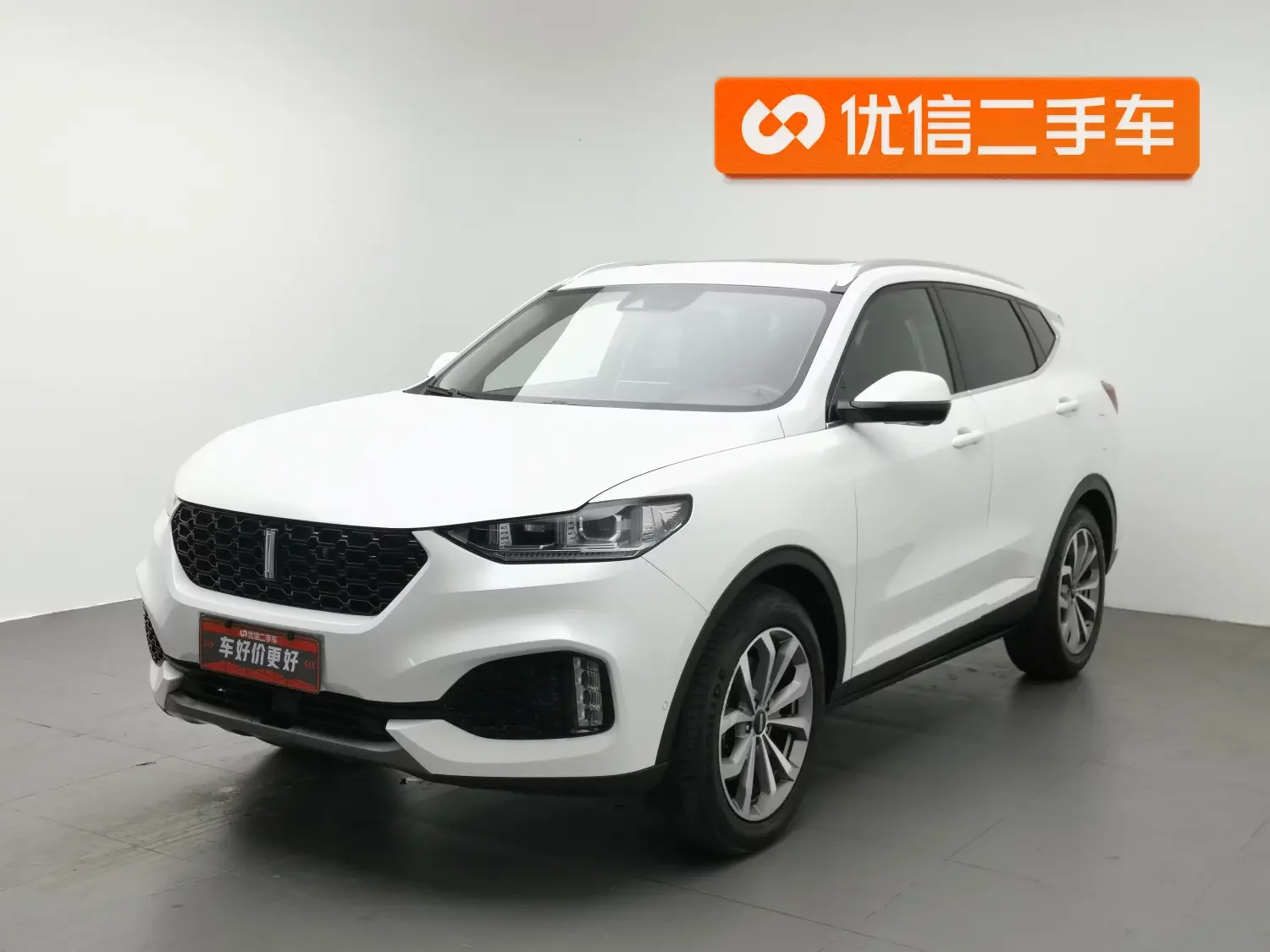 Wey Wei brand VV6
