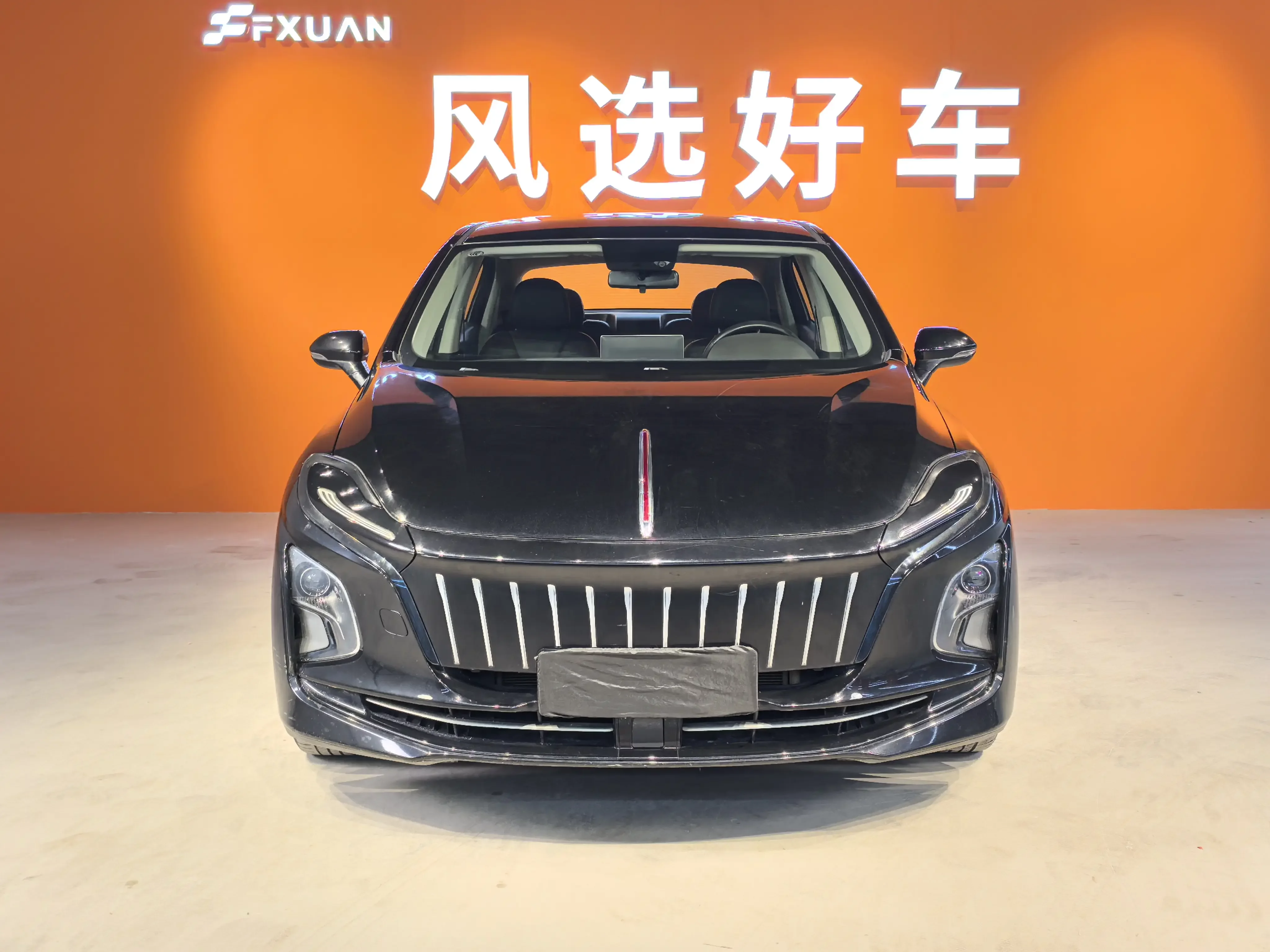 Hongqi E-QM5