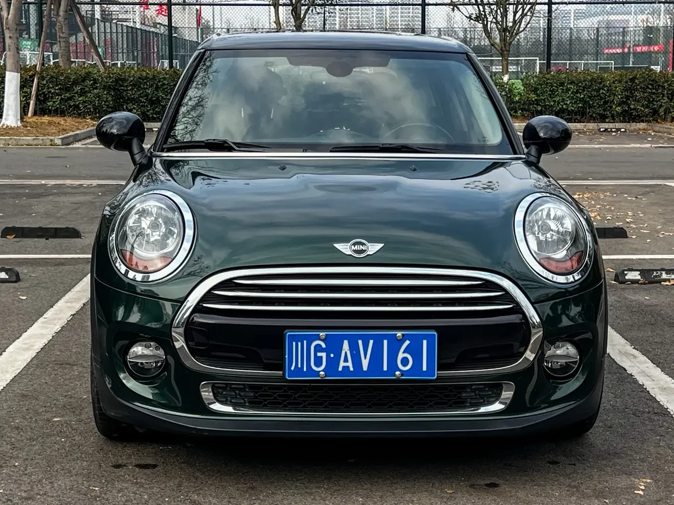 MINI 