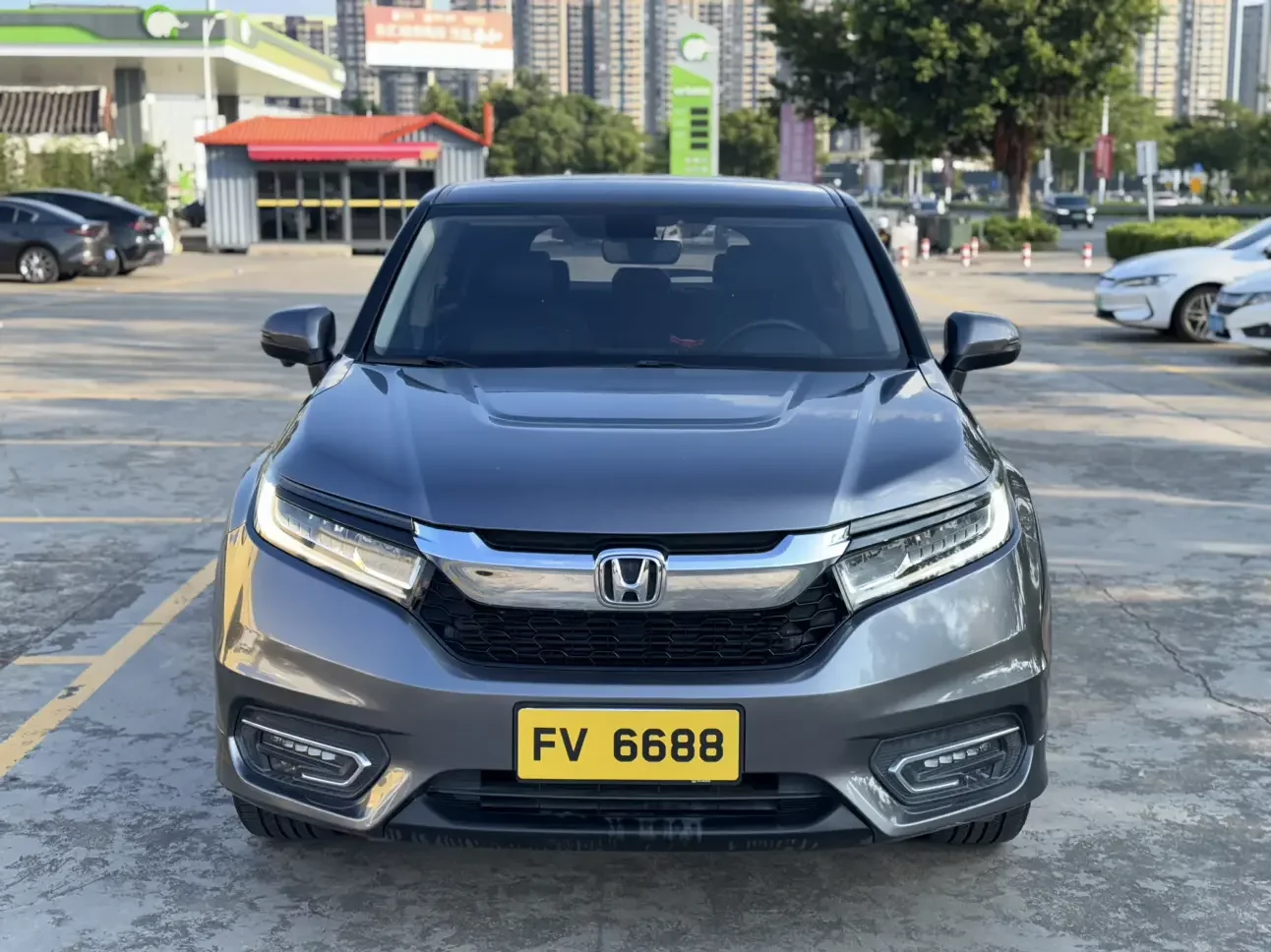 Honda Avancier (Crown Road)