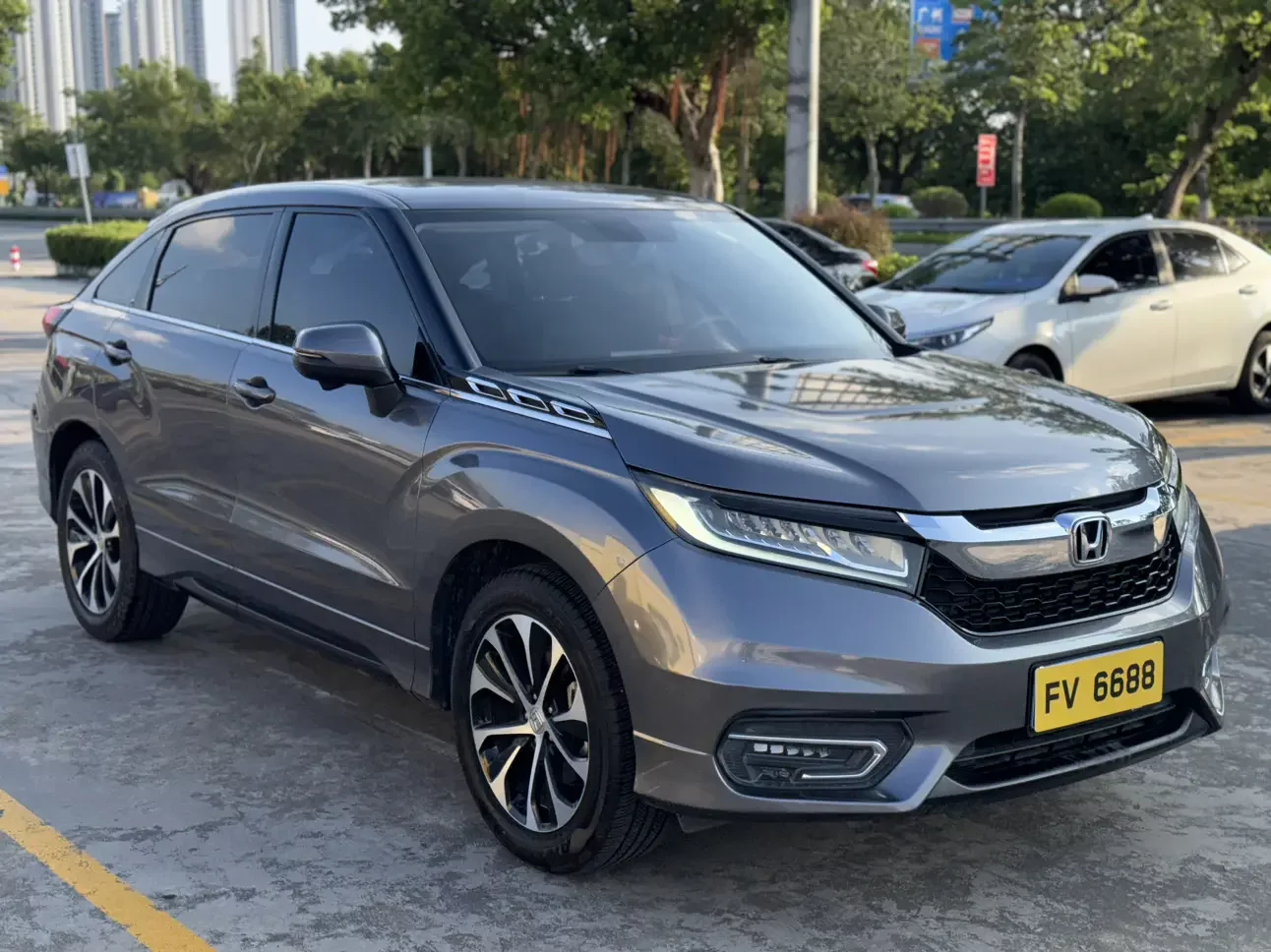 Honda Avancier (Crown Road)