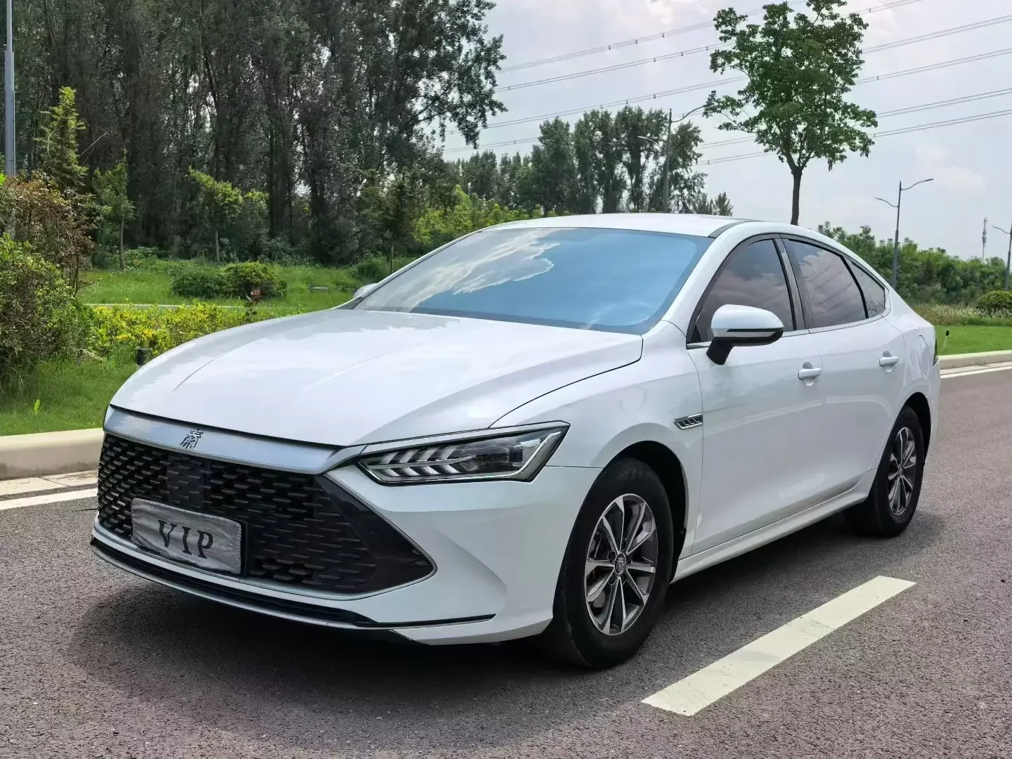 BYD Qin PLUS DM