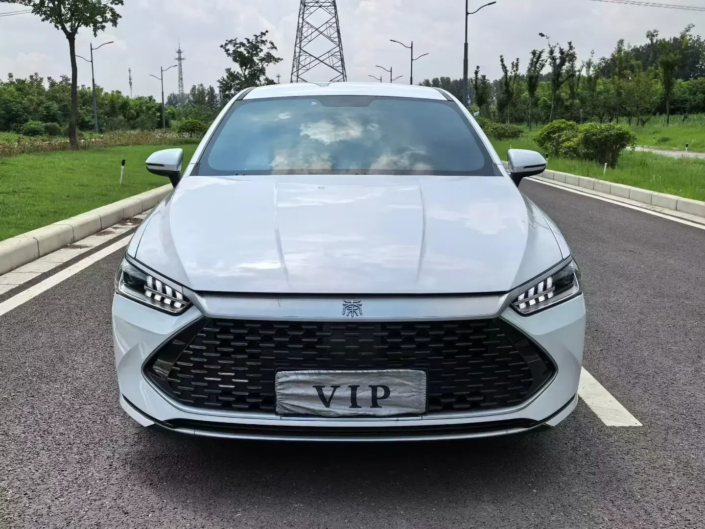 BYD Qin PLUS DM