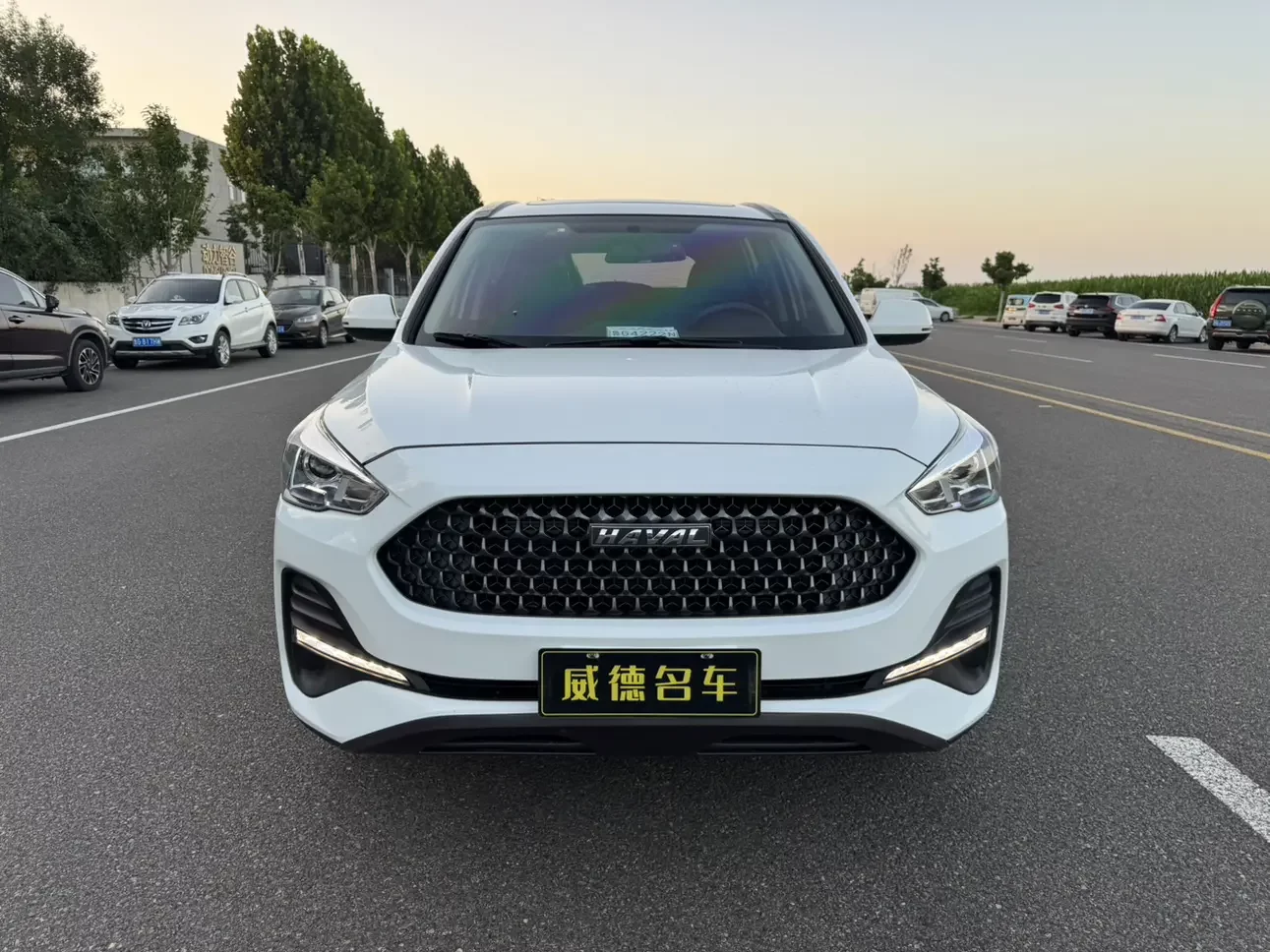 Haval M6