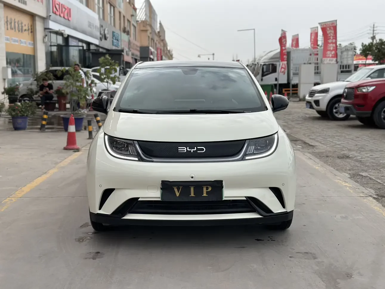 BYD dolphin