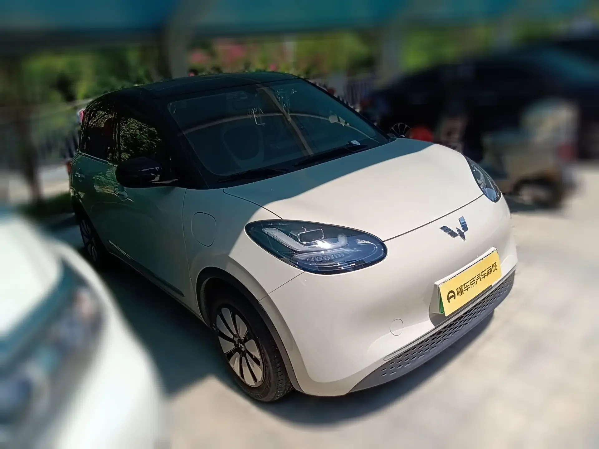 Wuling Bingo