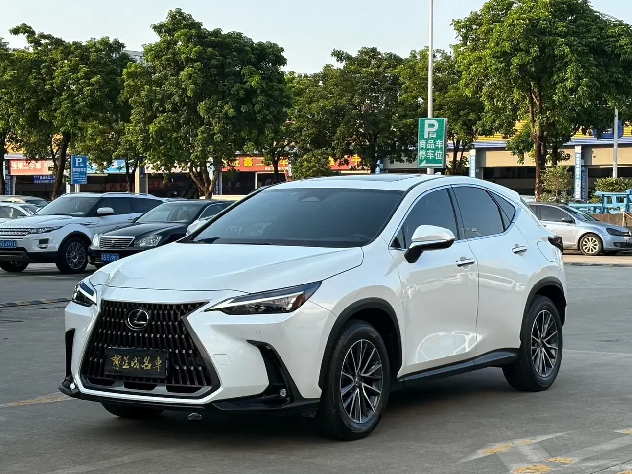 Lexus NX