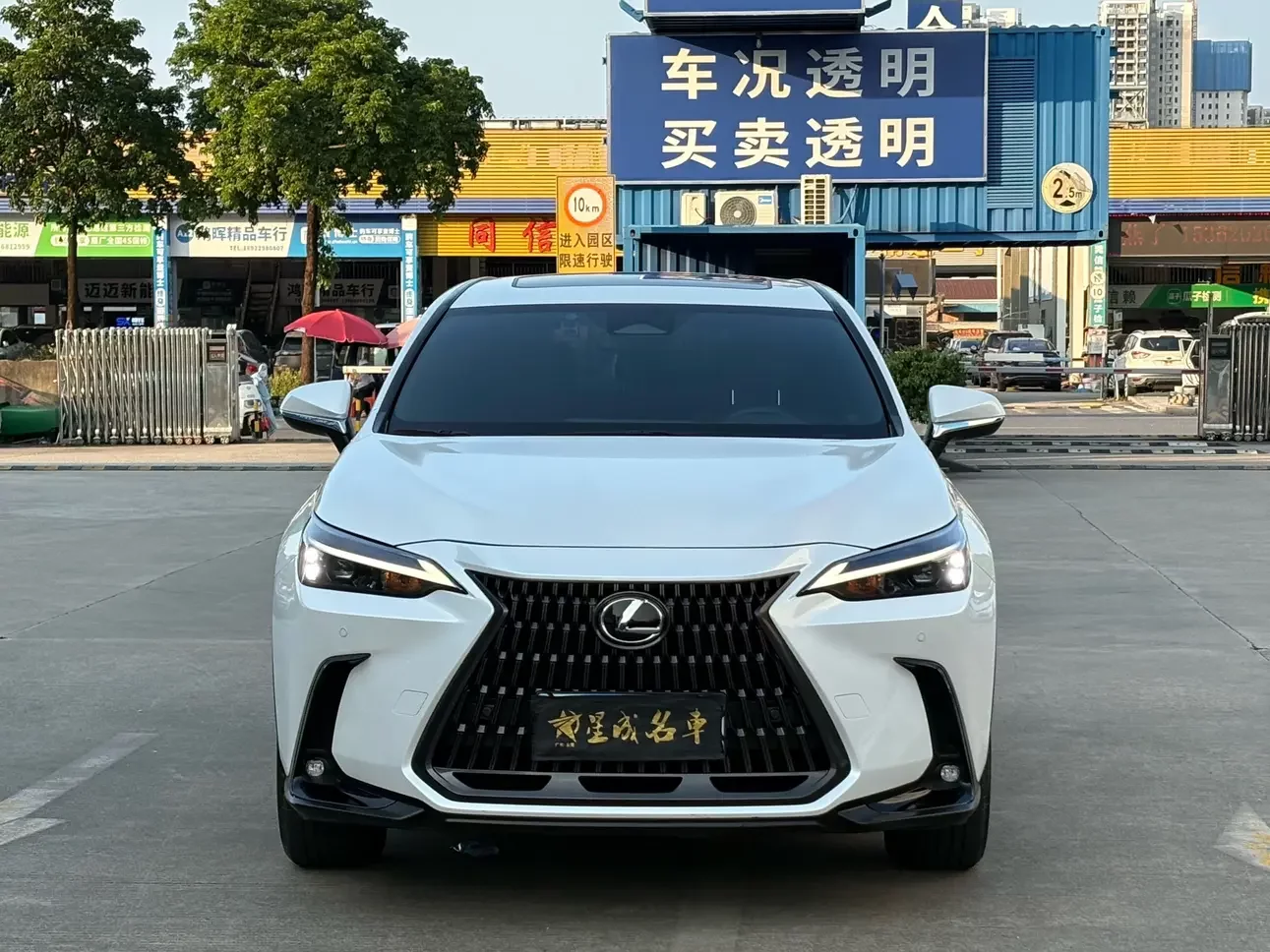 Lexus NX