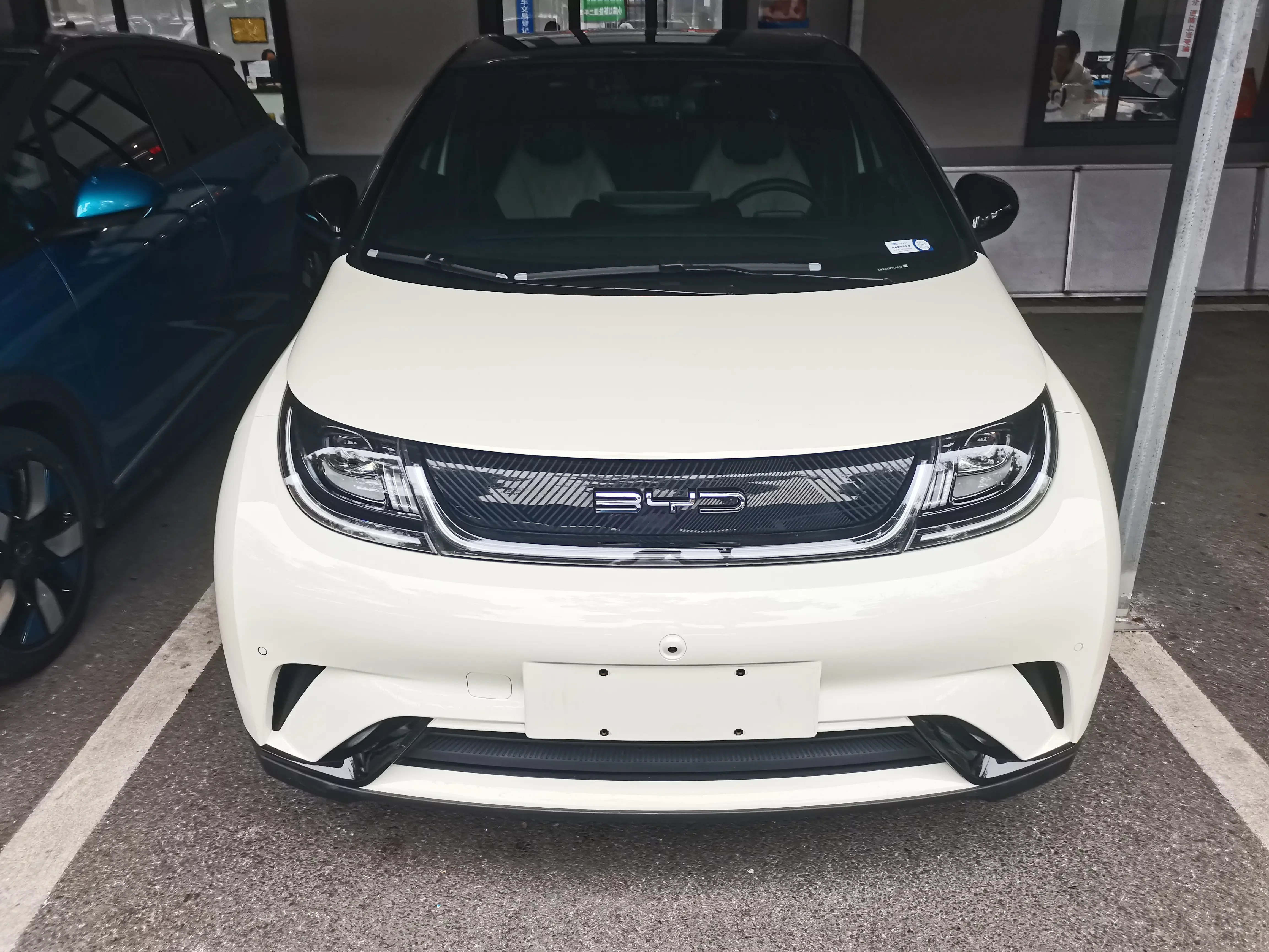 BYD dolphin