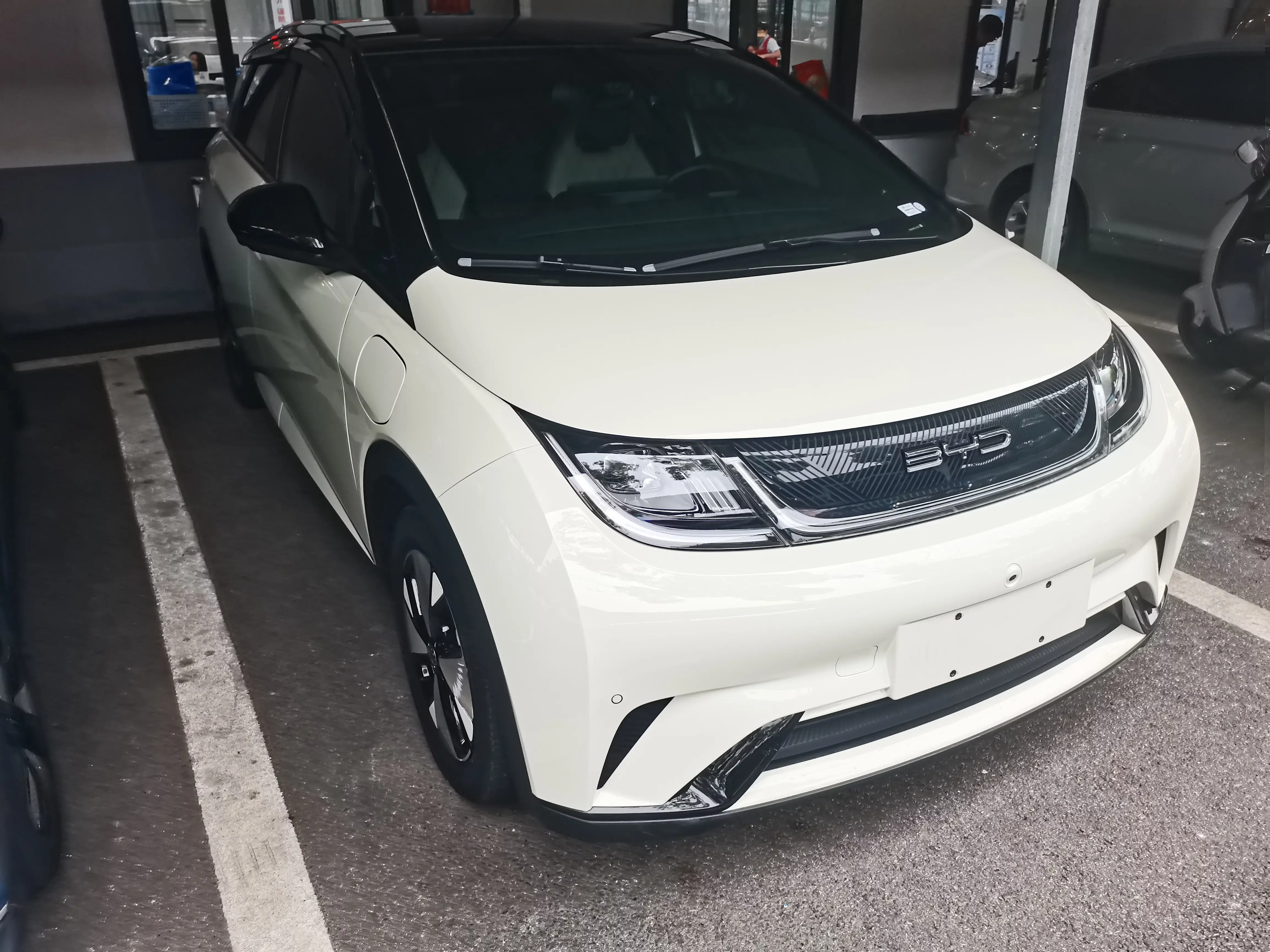 BYD dolphin