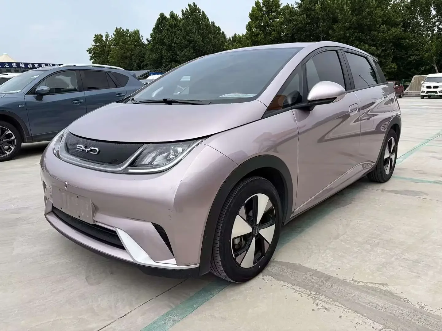 BYD dolphin