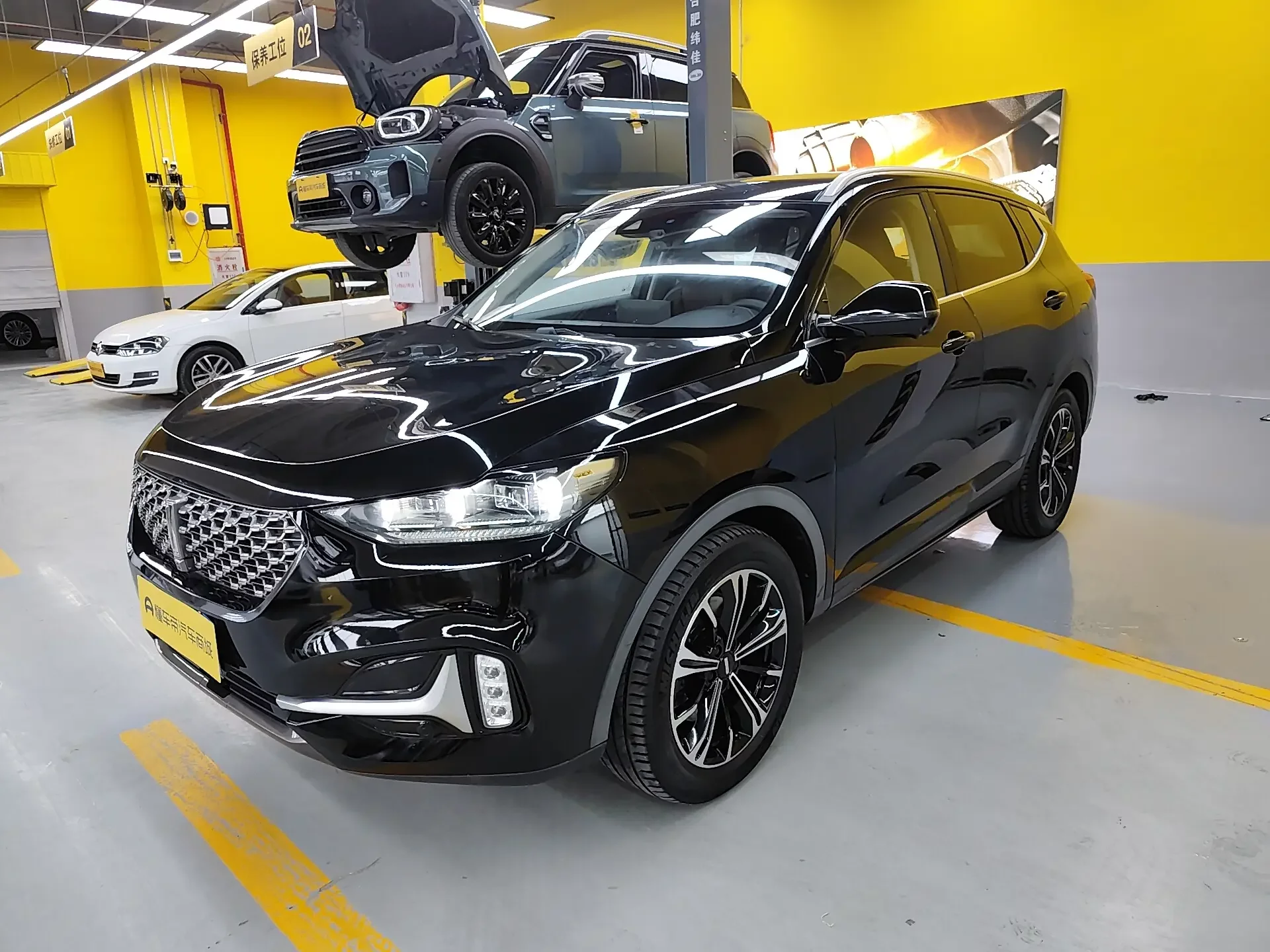 Wey Wei brand VV6