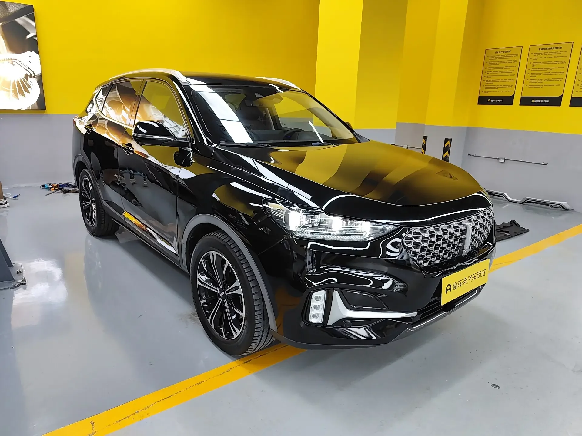 Wey Wei brand VV6