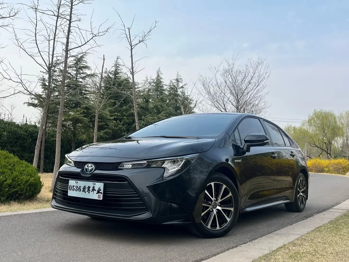 Toyota Levin (Lei Ling)