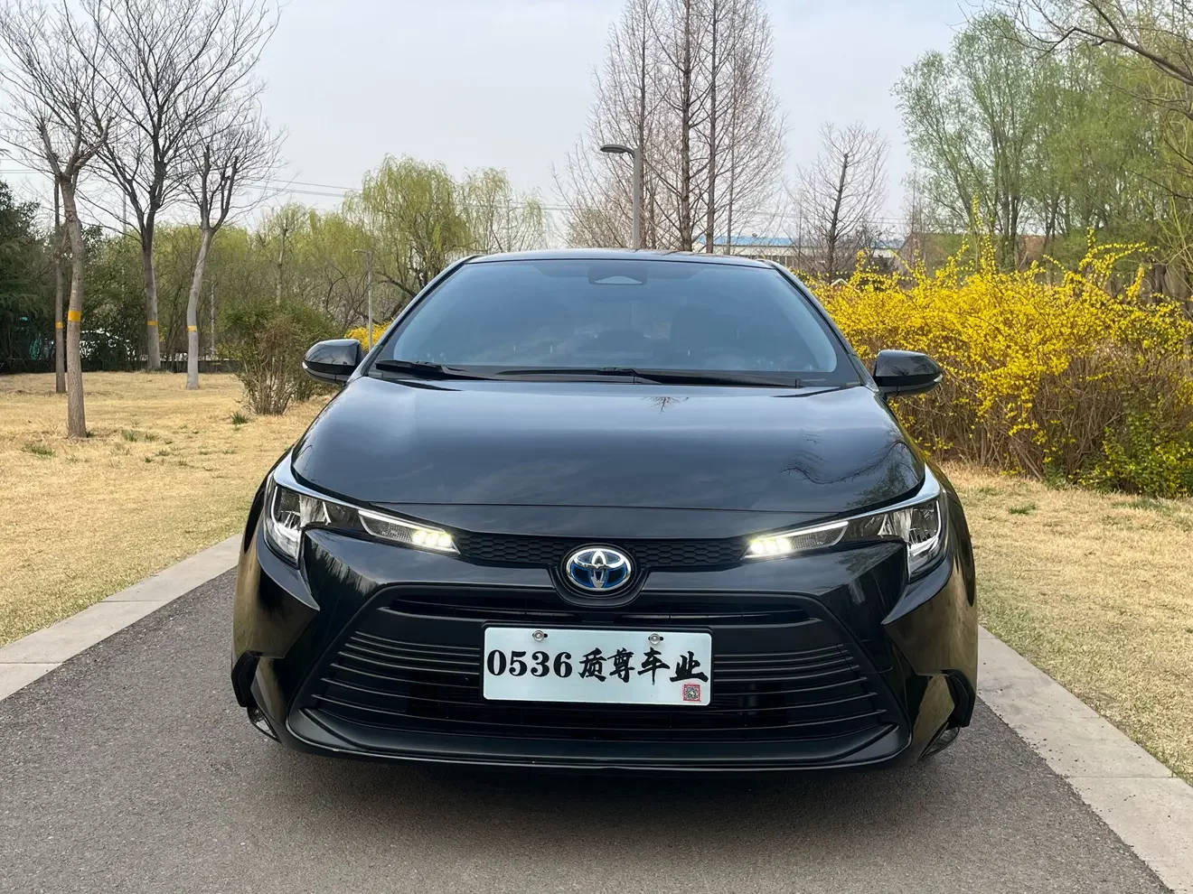 Toyota Levin (Lei Ling)