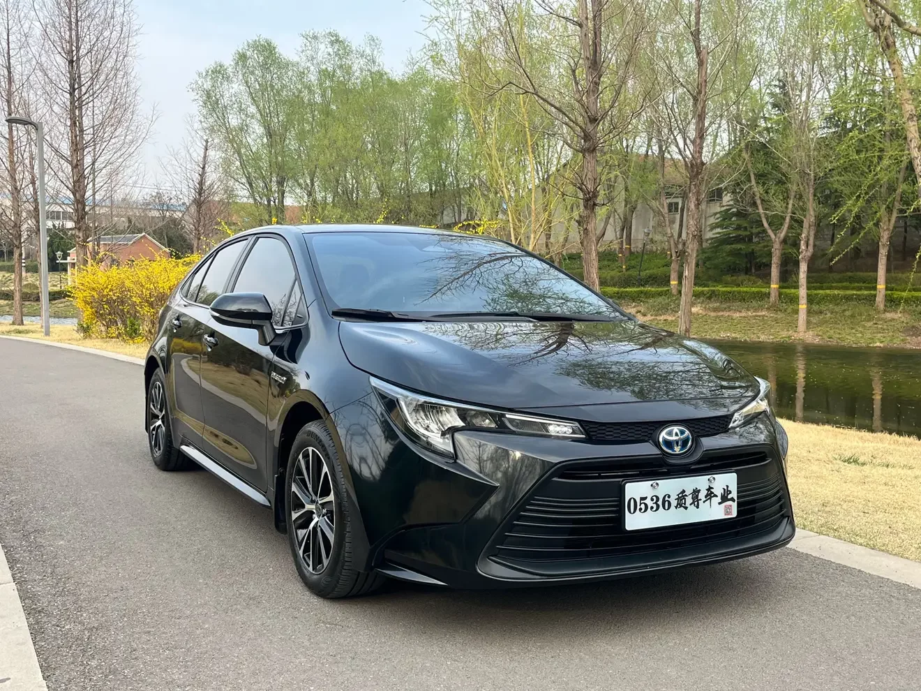 Toyota Levin (Lei Ling)