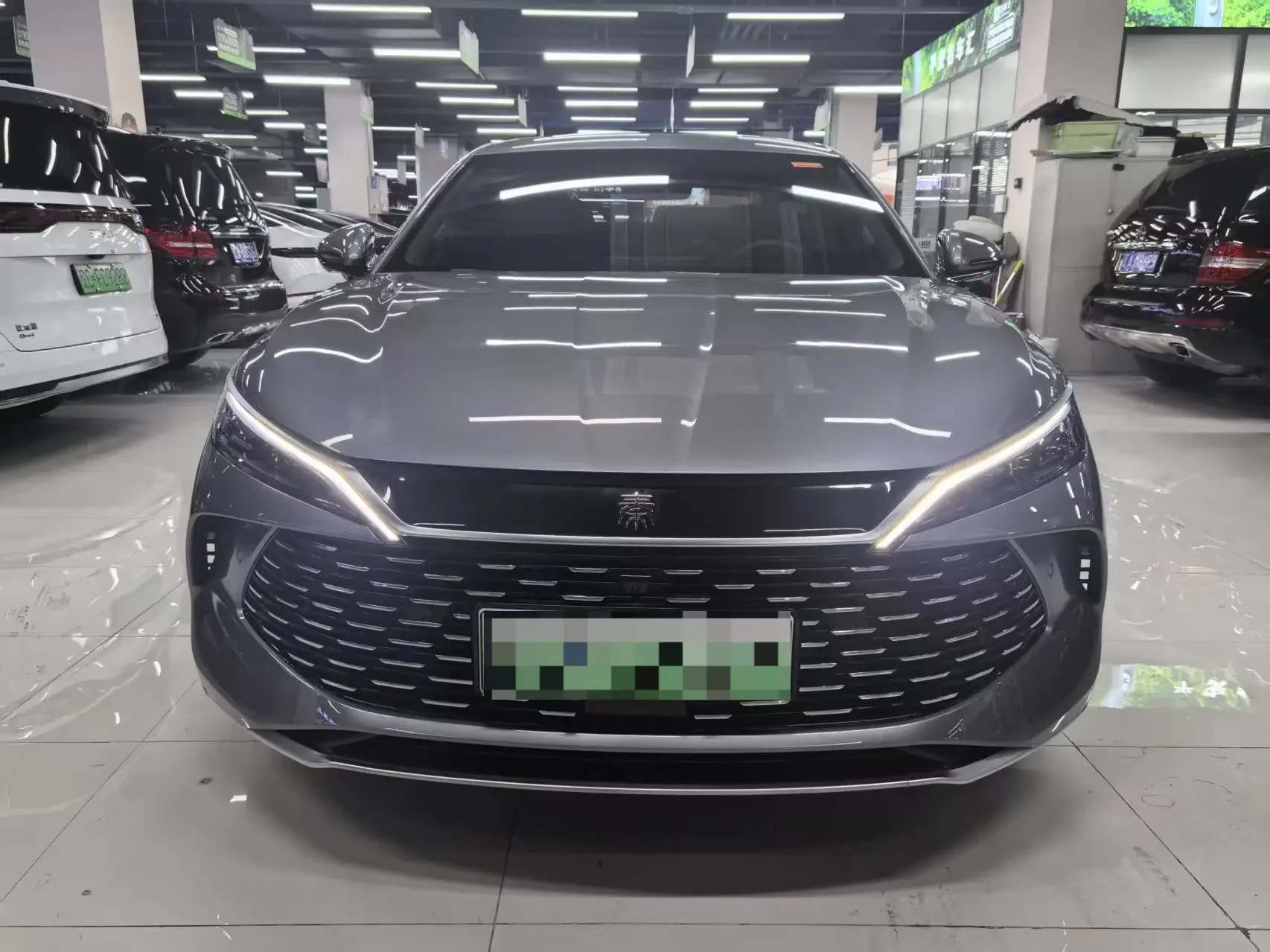 BYD Qin L DM