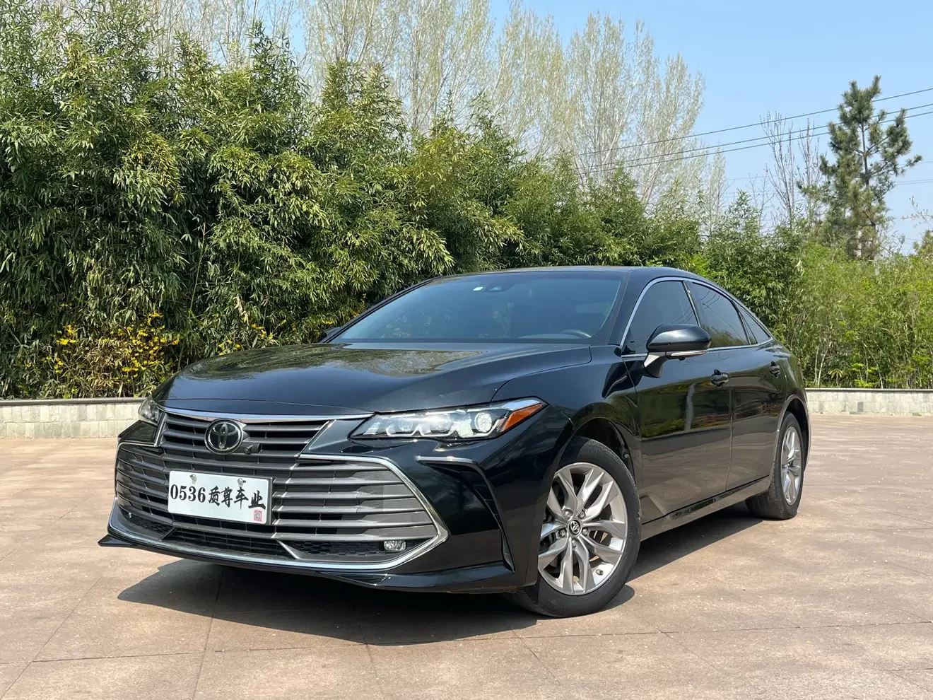 Toyota Avalon (asian dragon)