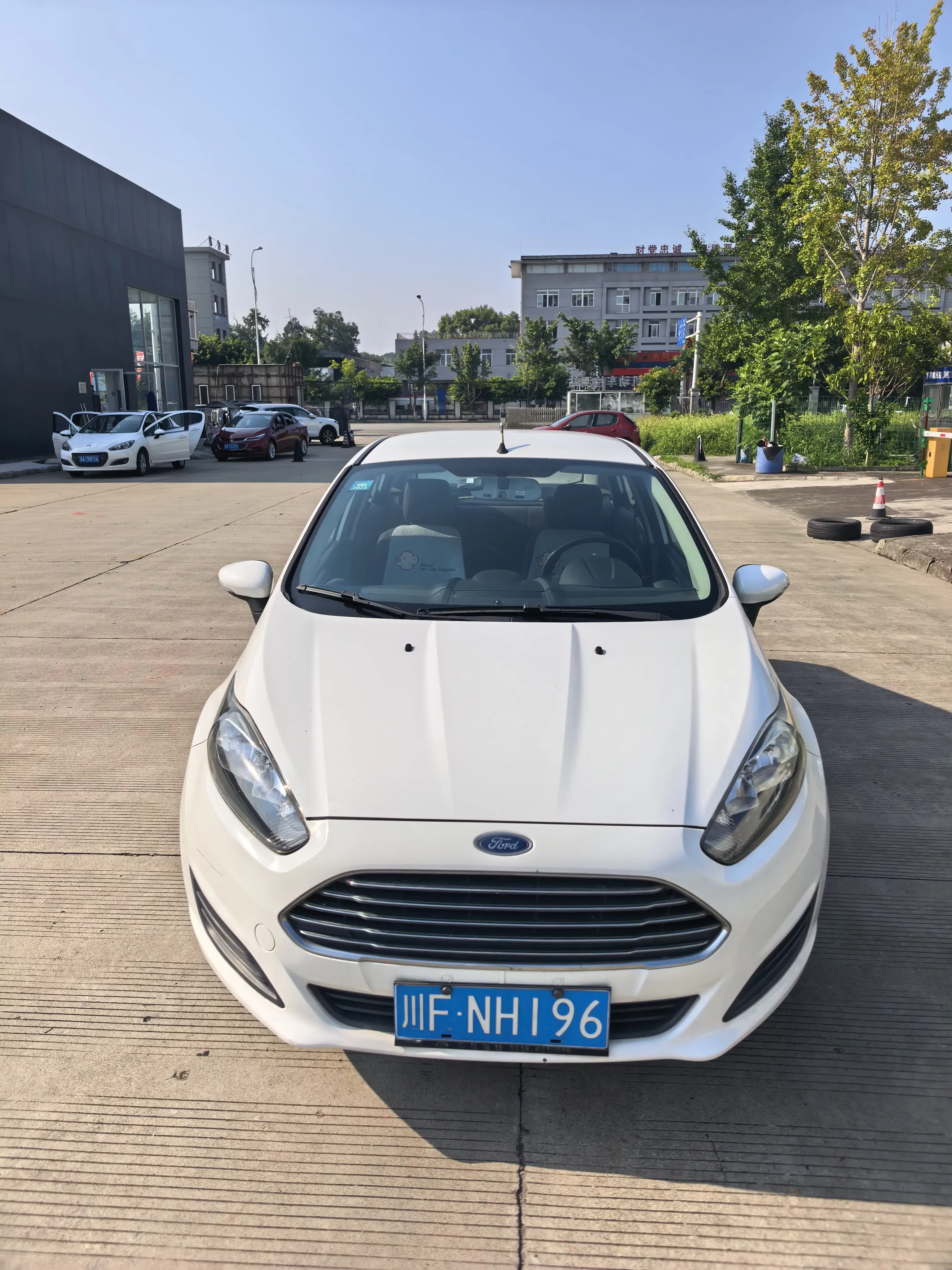 Ford carnival