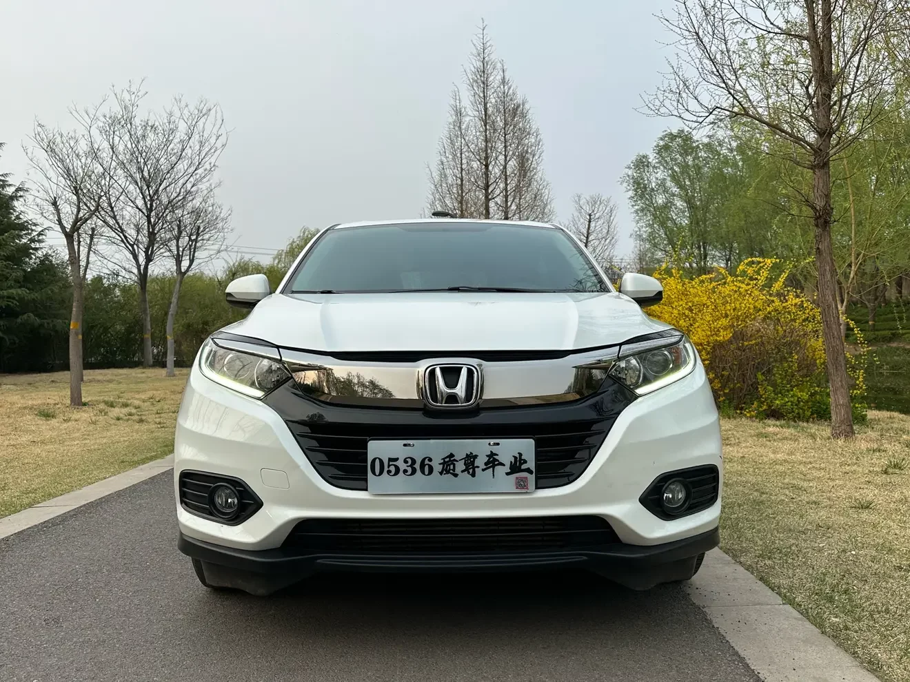 Honda Vezel (Binzhi)