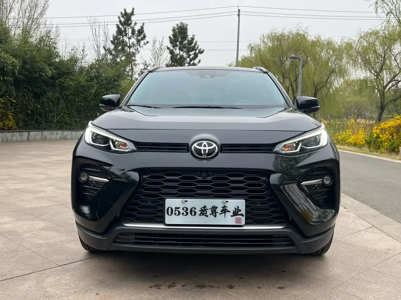 Toyota Willanda