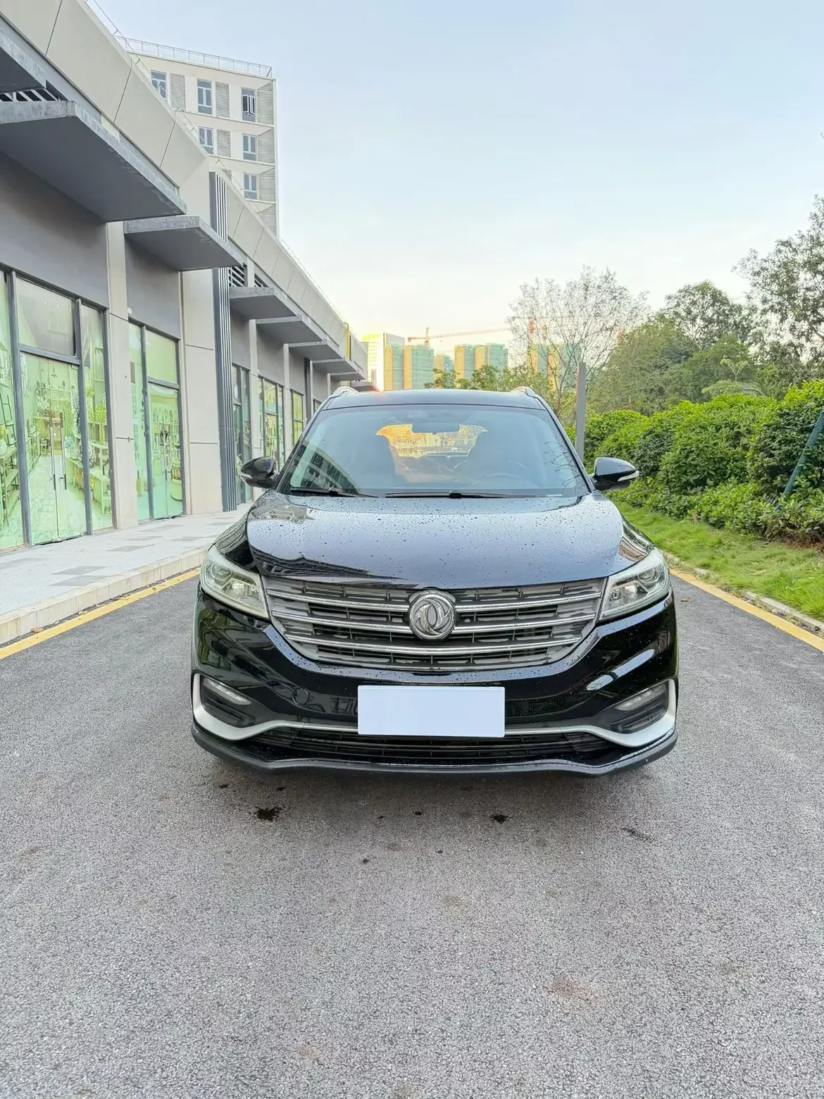 Dongfeng Fengon 580