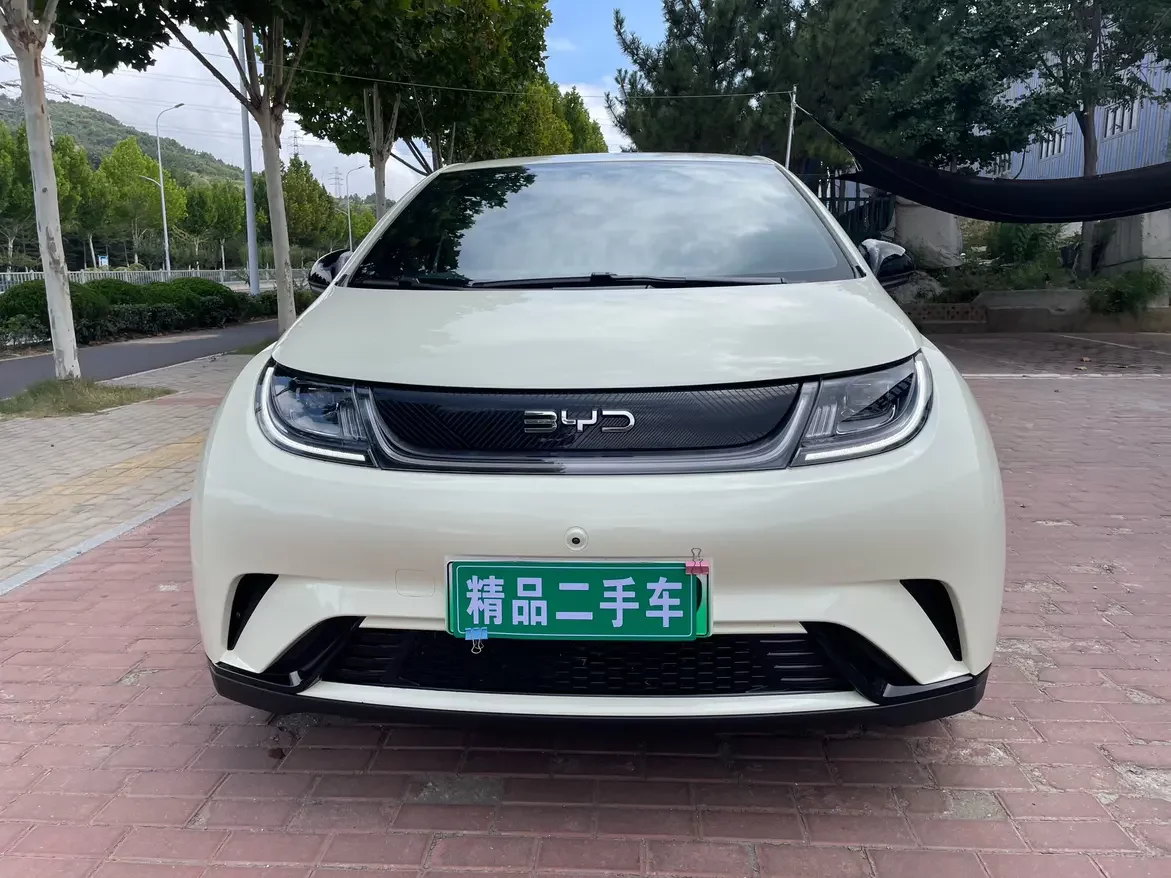 BYD dolphin