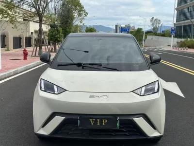 BYD Seagull