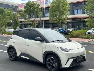 BYD Seagull