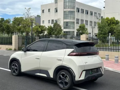 BYD Seagull