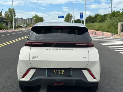 BYD Seagull