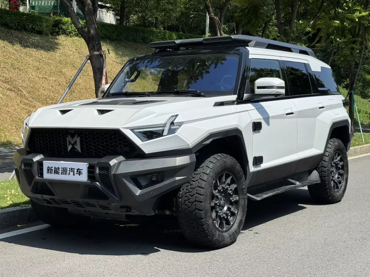 Mengshi Warrior 917
