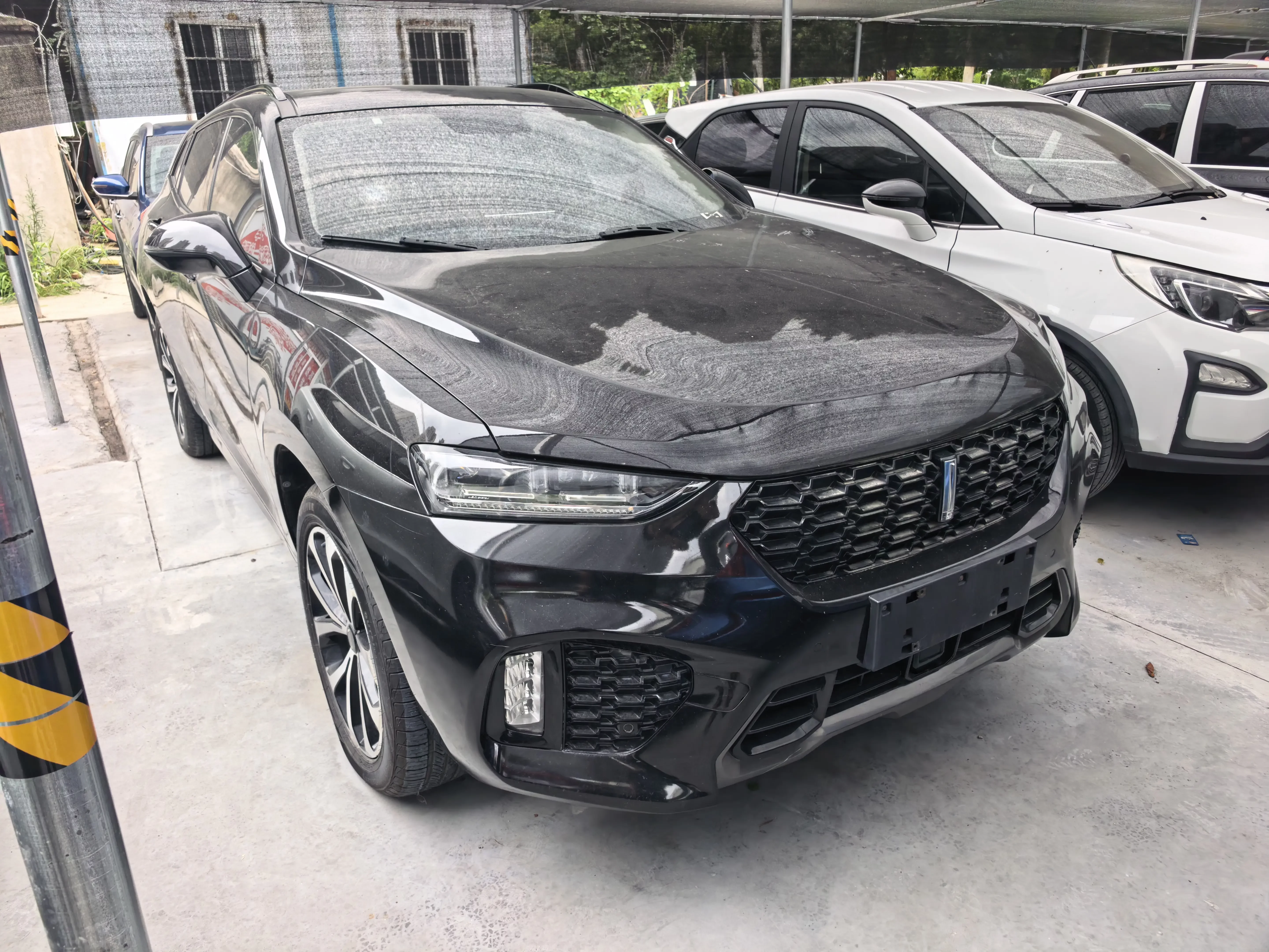 Wey Wei brand VV7