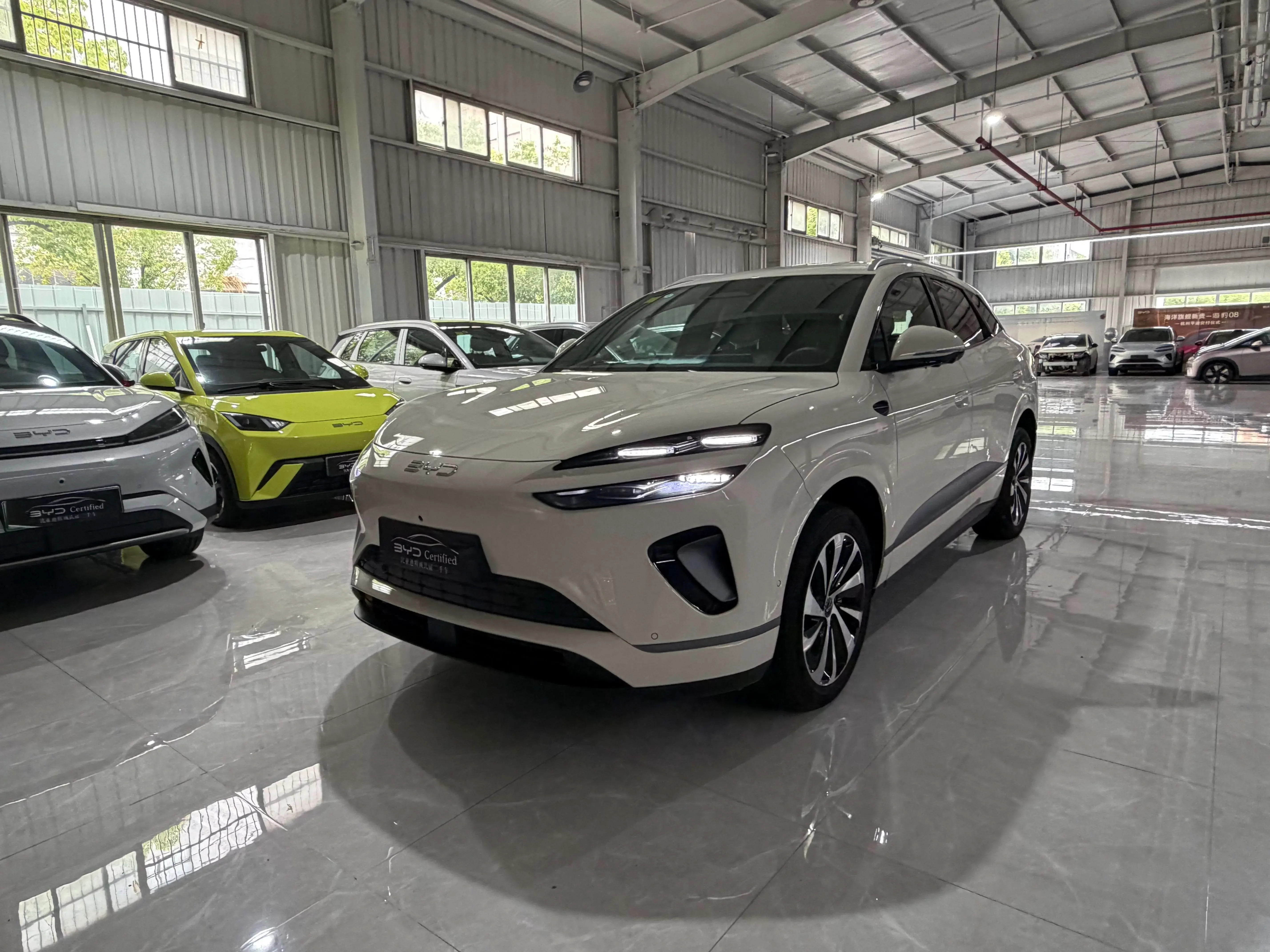 BYD Sea Lion 06EV