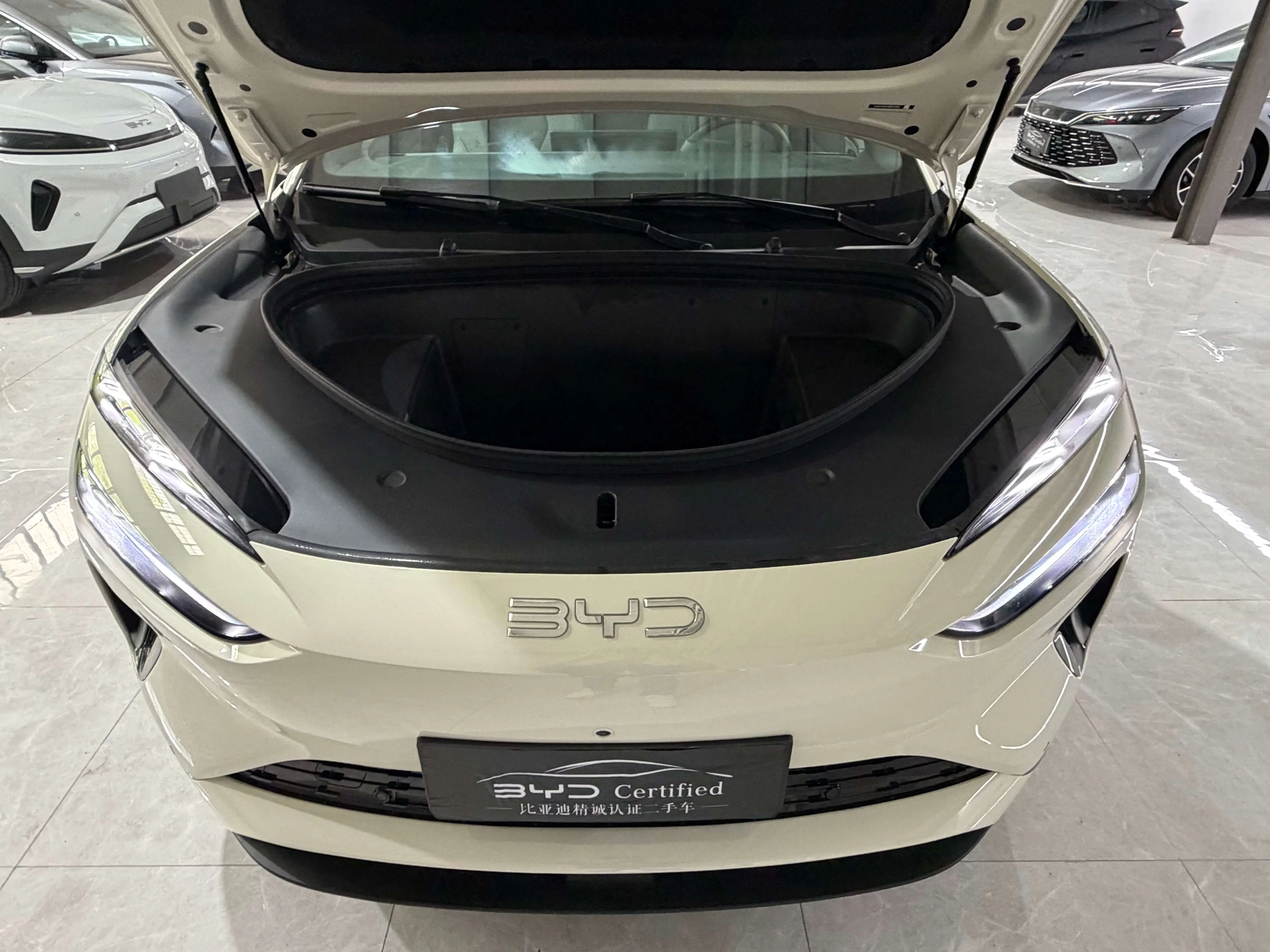 BYD Sea Lion 06EV