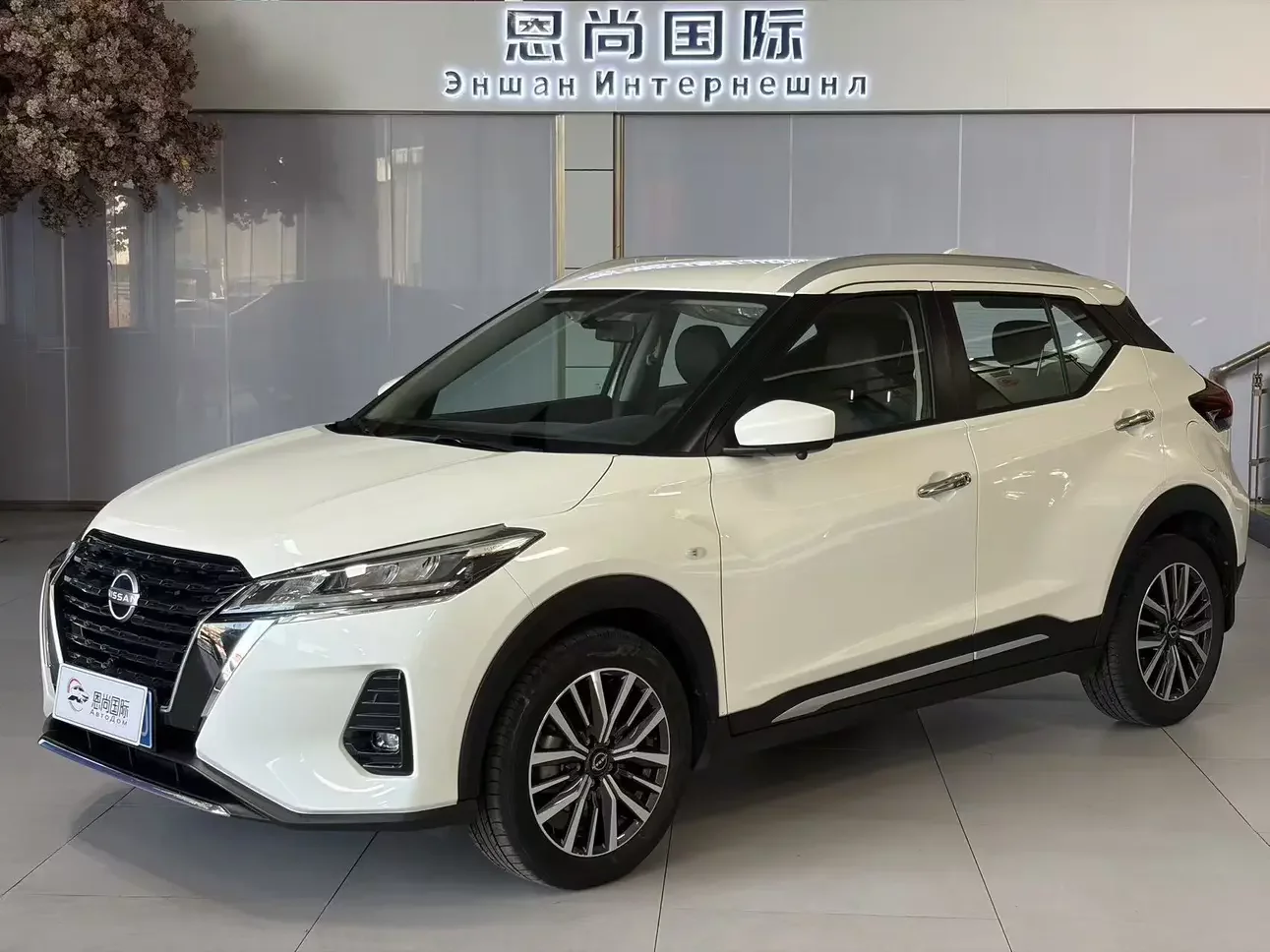 Nissan Jinke