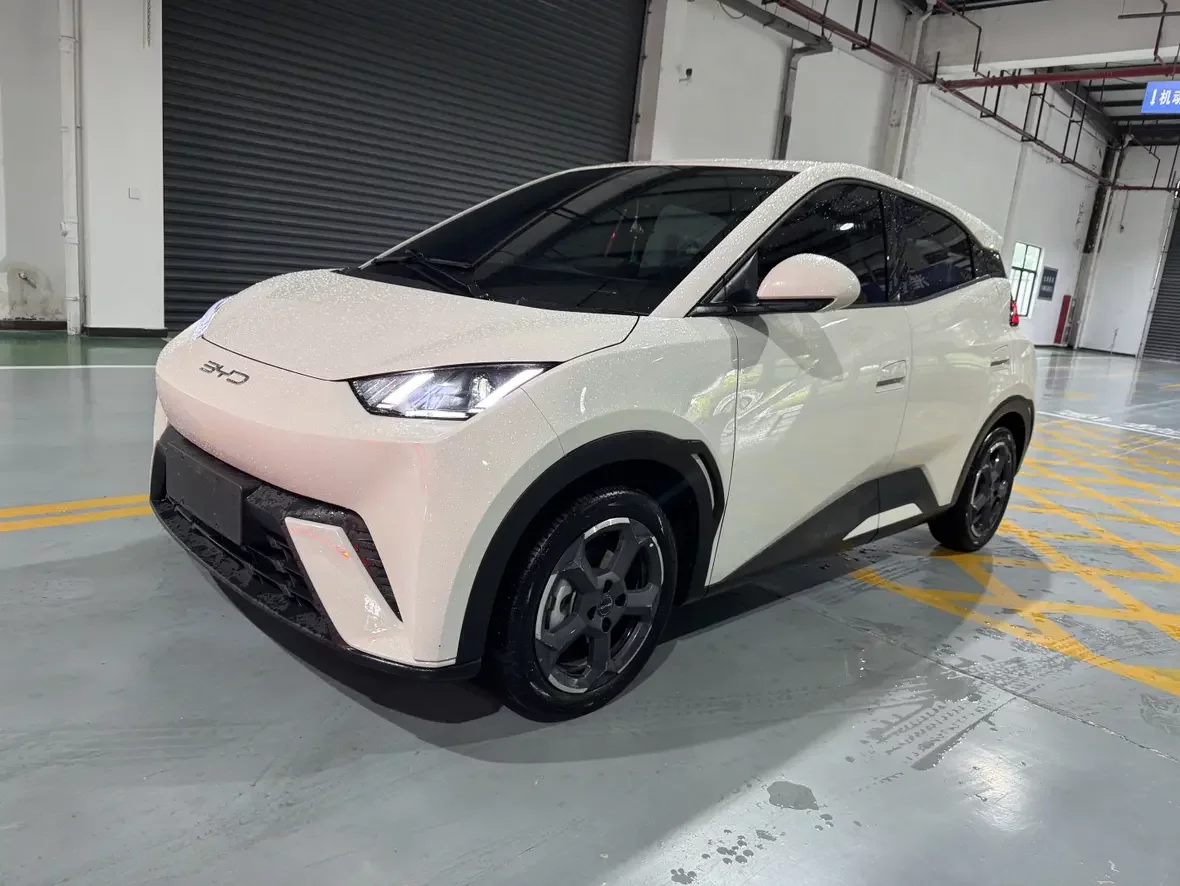 BYD seagull