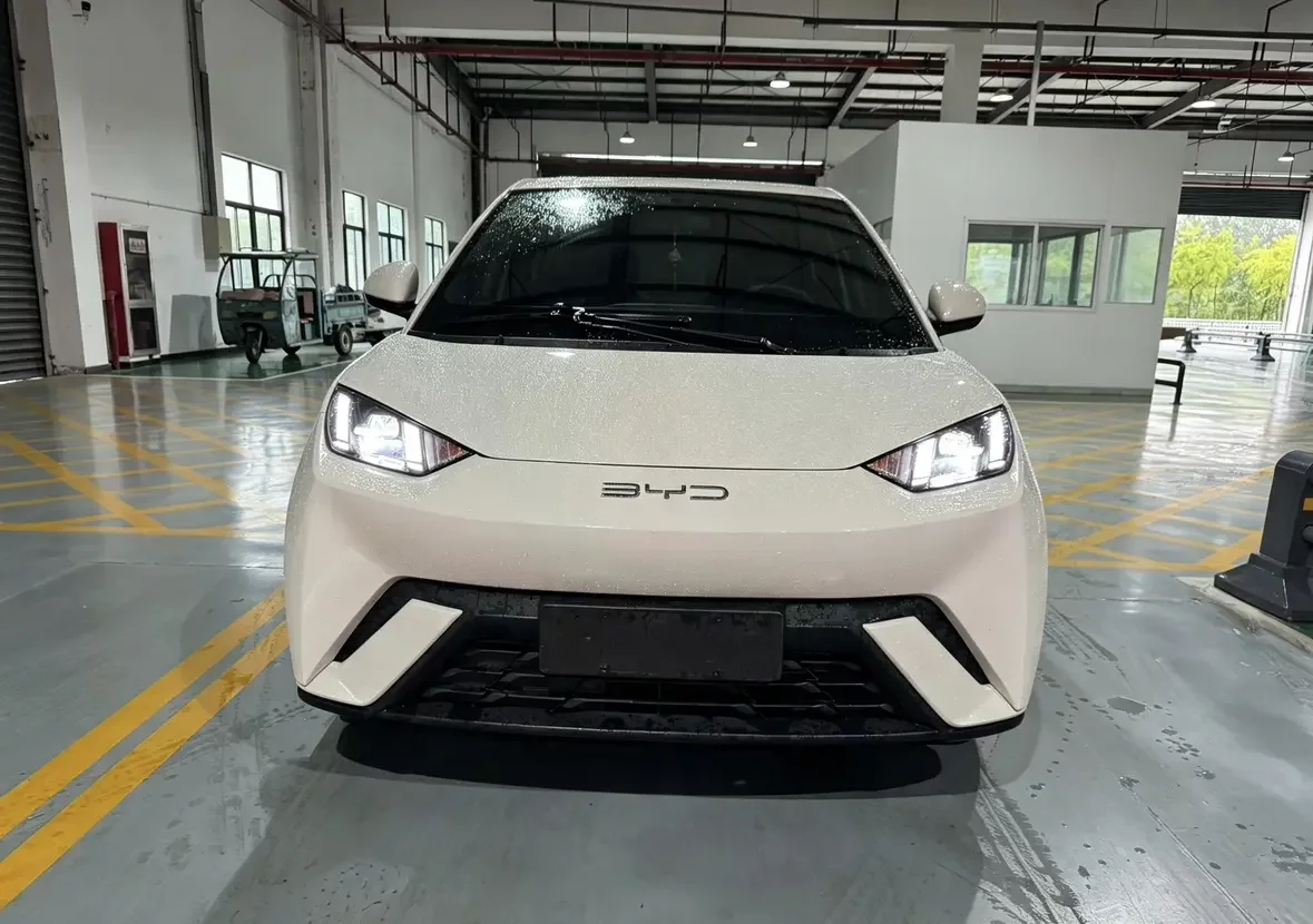 BYD seagull