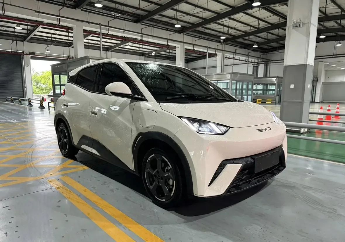 BYD seagull