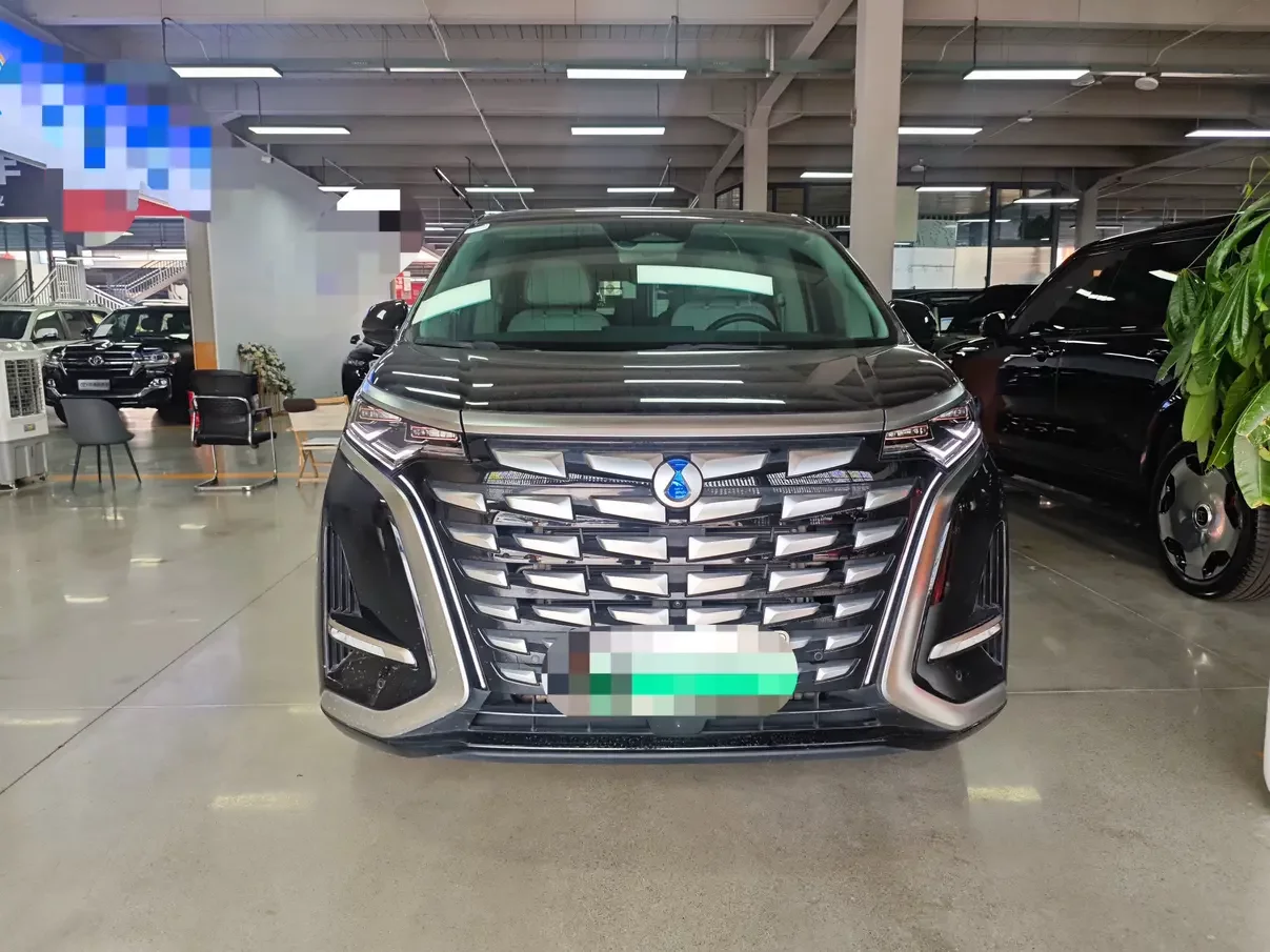 Denza D9 DM