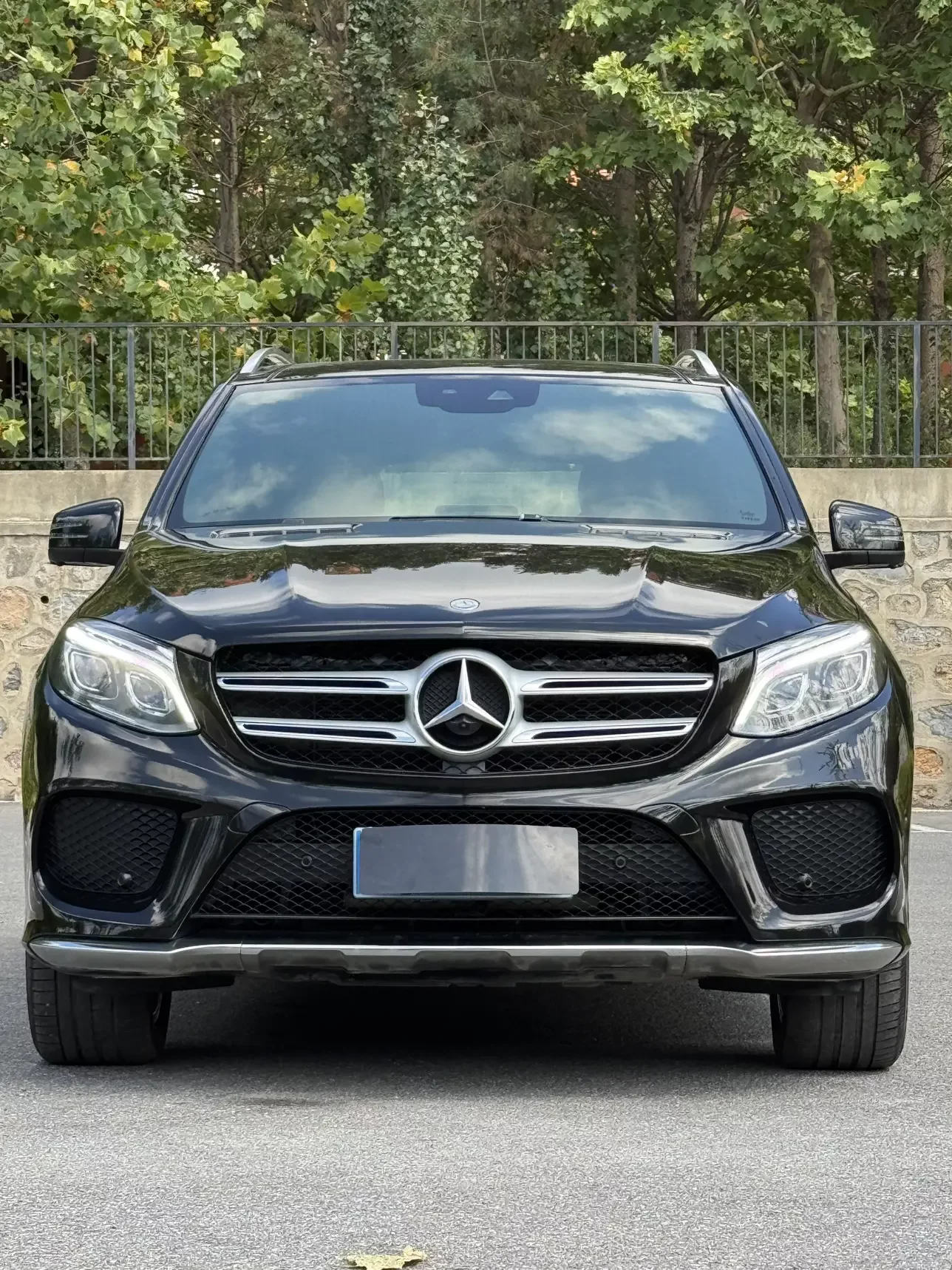 Mercedes-Benz GLE (Imported)